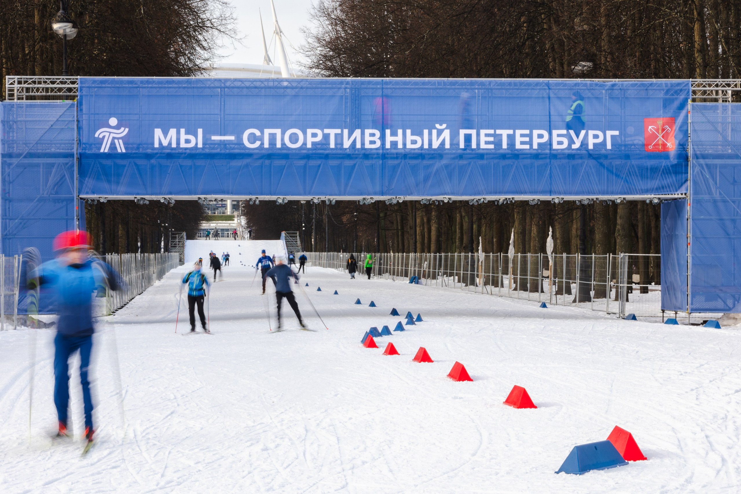 Лыжная гонка на Кубок Губернатора Санкт-Петербурга. Фотограф в Санкт-Петербурге
