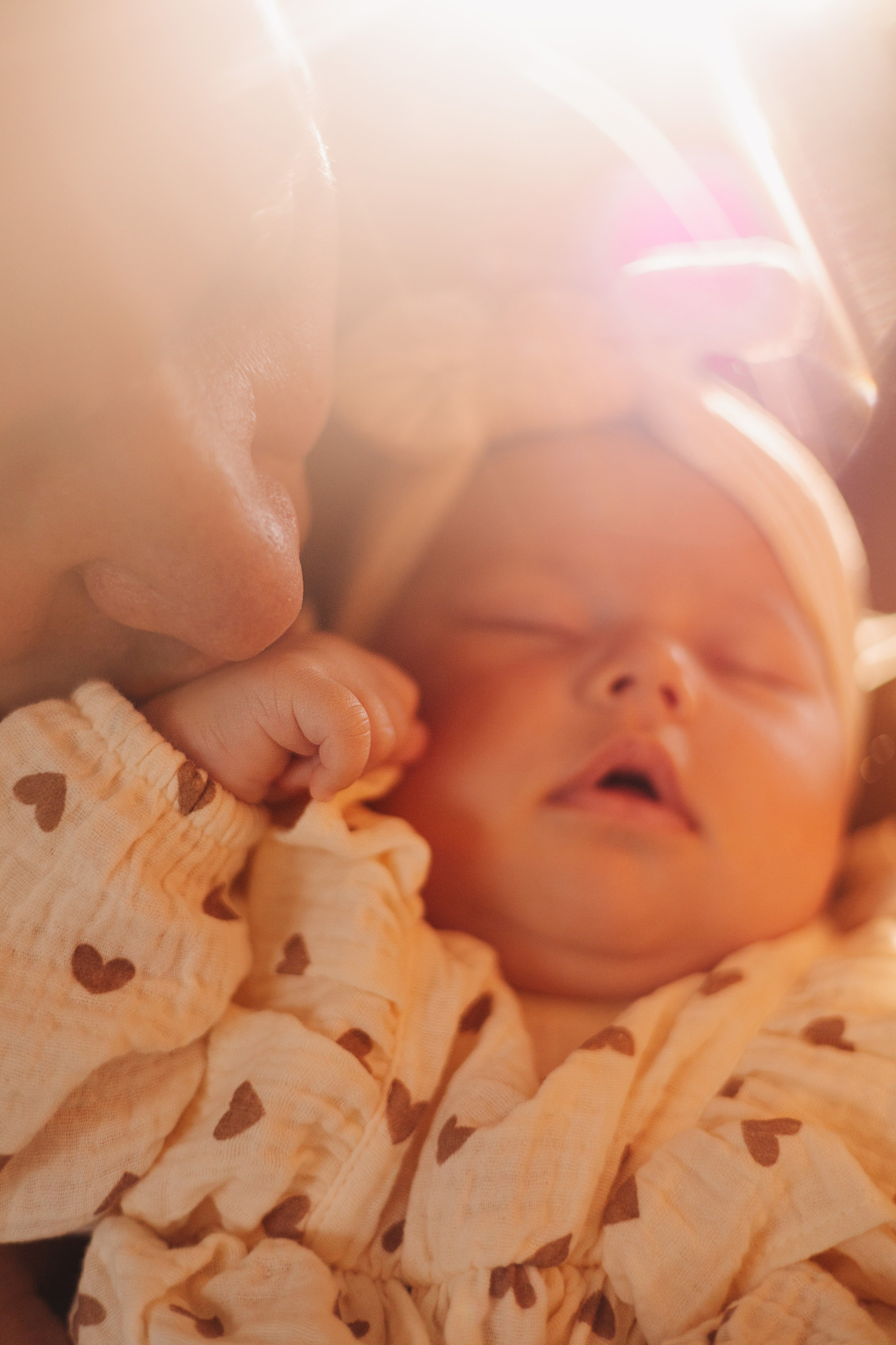 🤍. Детский и семейный фотограф  Биробиджан Оля Светагор