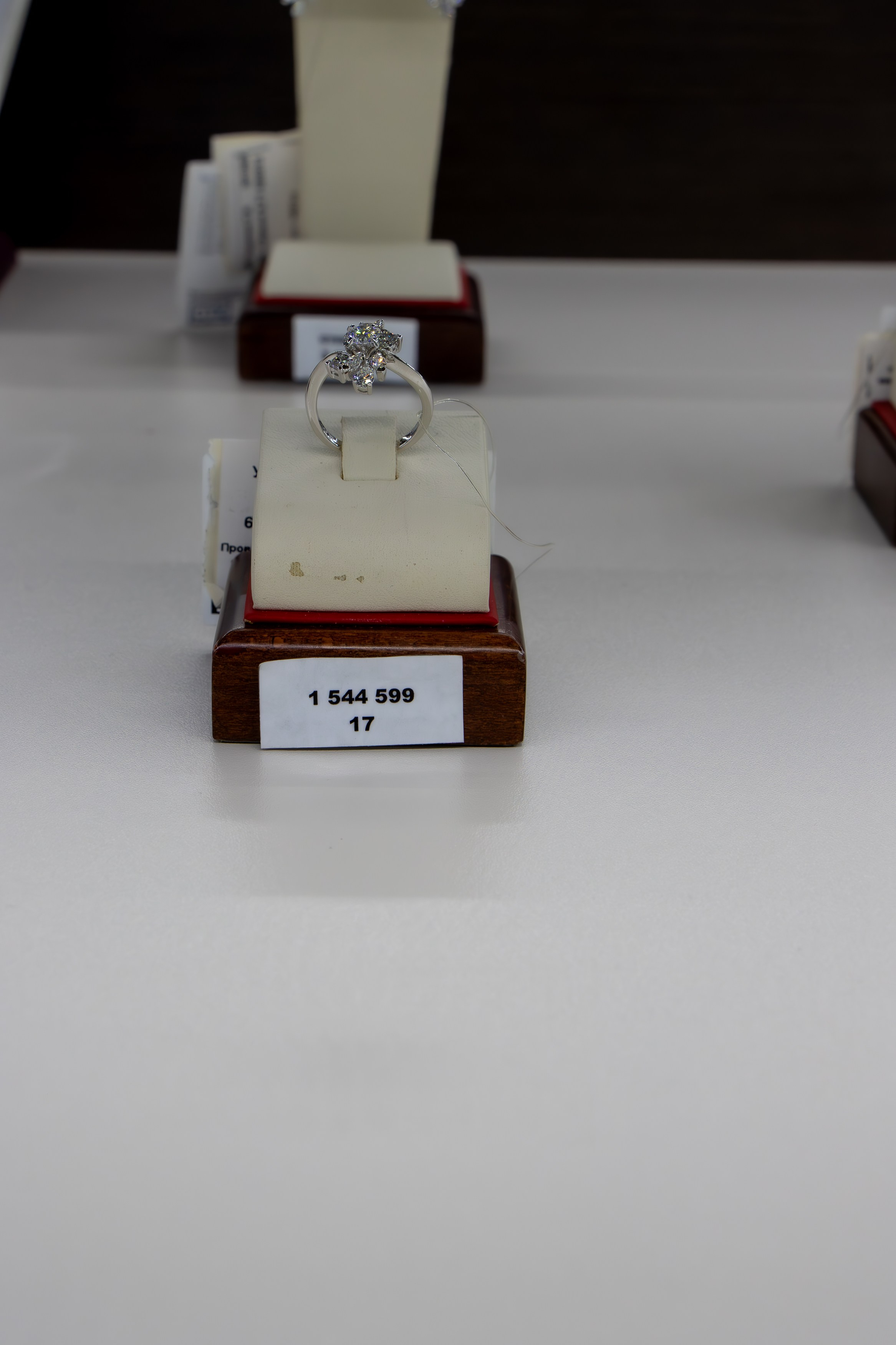 Мисс и Миссис Россия Земля в Изумруде Царском. Фотограф Татьяна Матрос