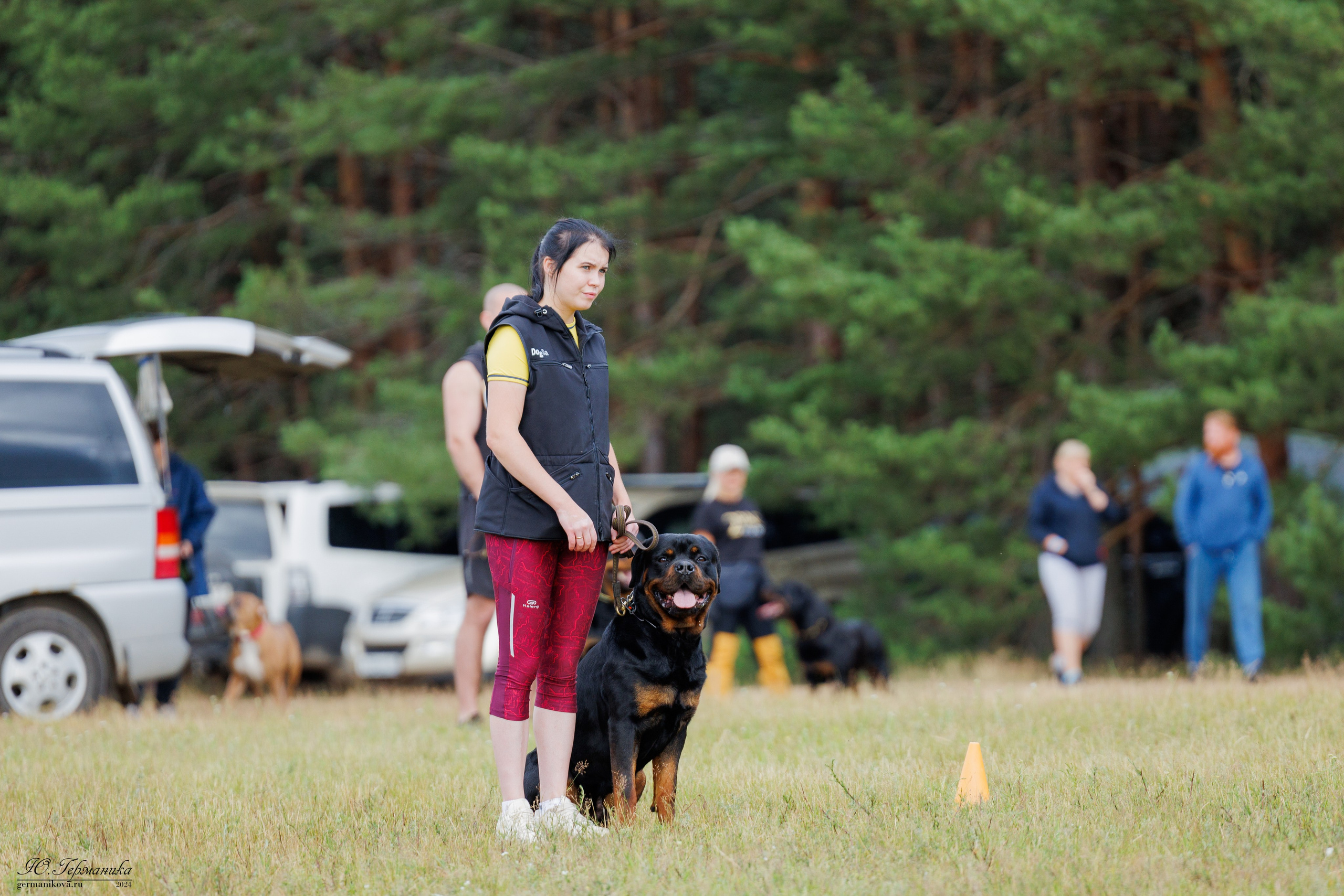ПК и КЧК ротвейлеры Тверь 6-7.07.2024. Фотограф-анималист Юлия Германика