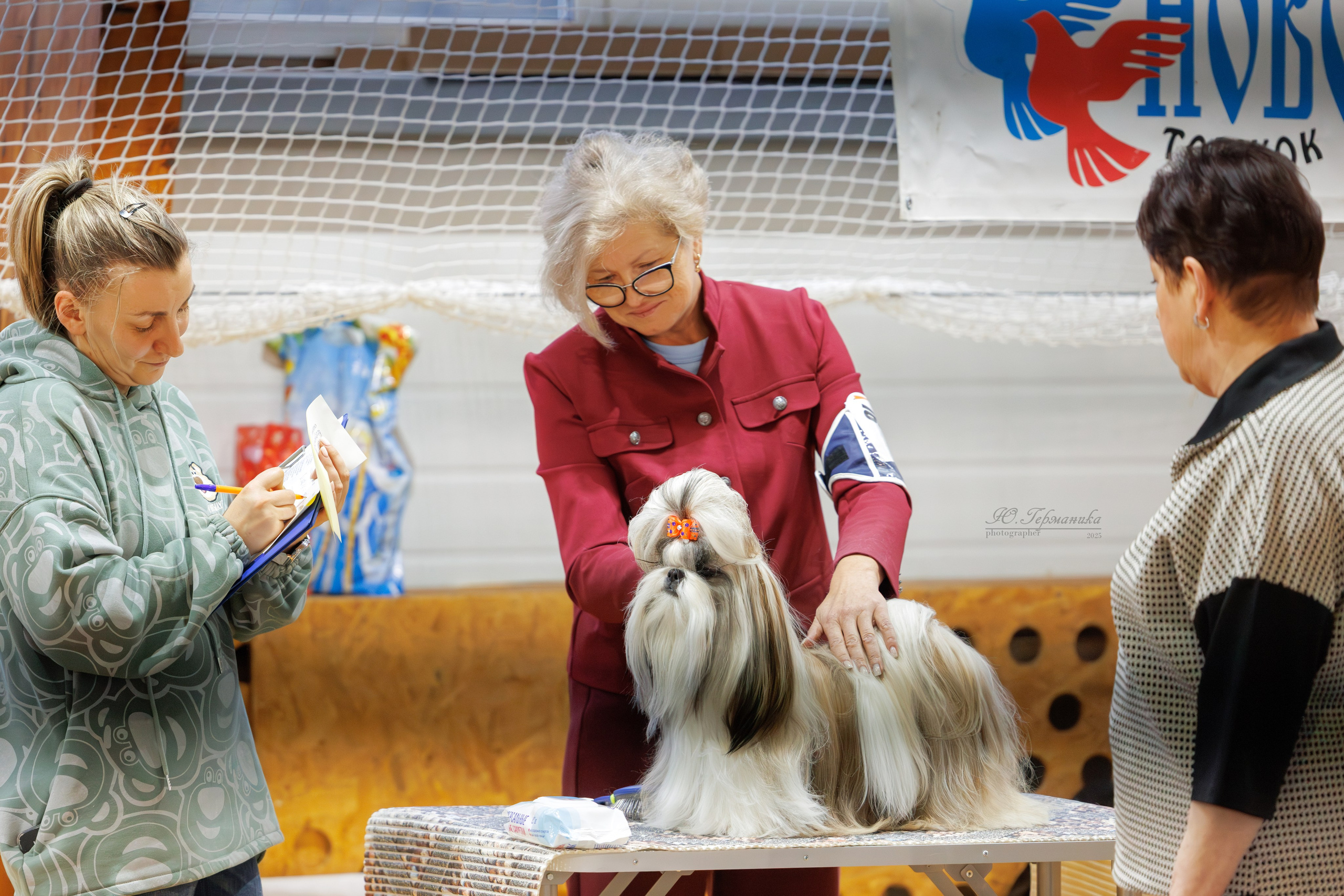 Тверь 21.12.2025. Фотограф-анималист Юлия Германика