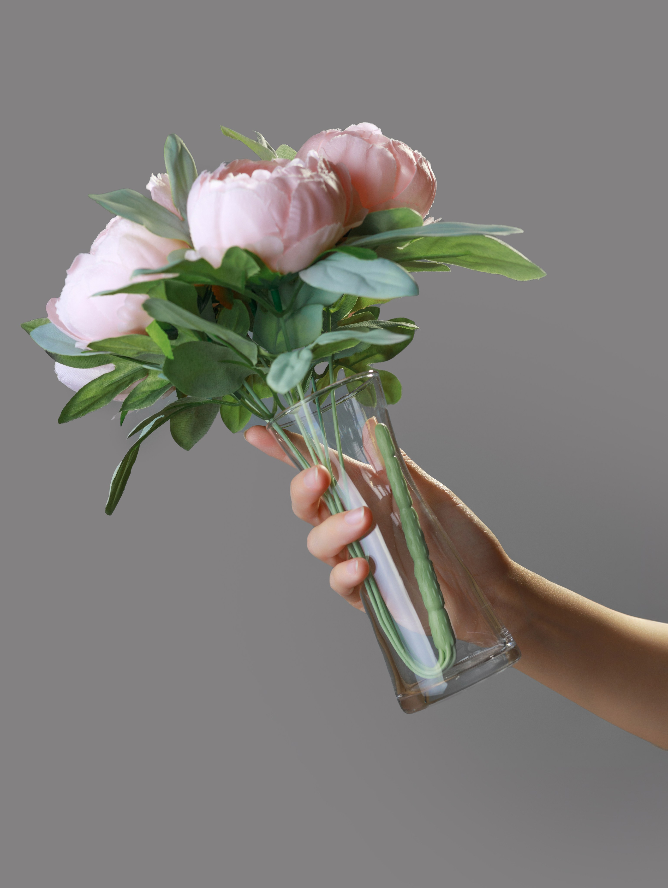 Пионы для OZON. СЕМЕЙНЫЙ И ПРЕДМЕТНЫЙ ФОТОГРАФ — ЛЕНА ГОНЧАР | КРАСНОДАР | МАЙКОП