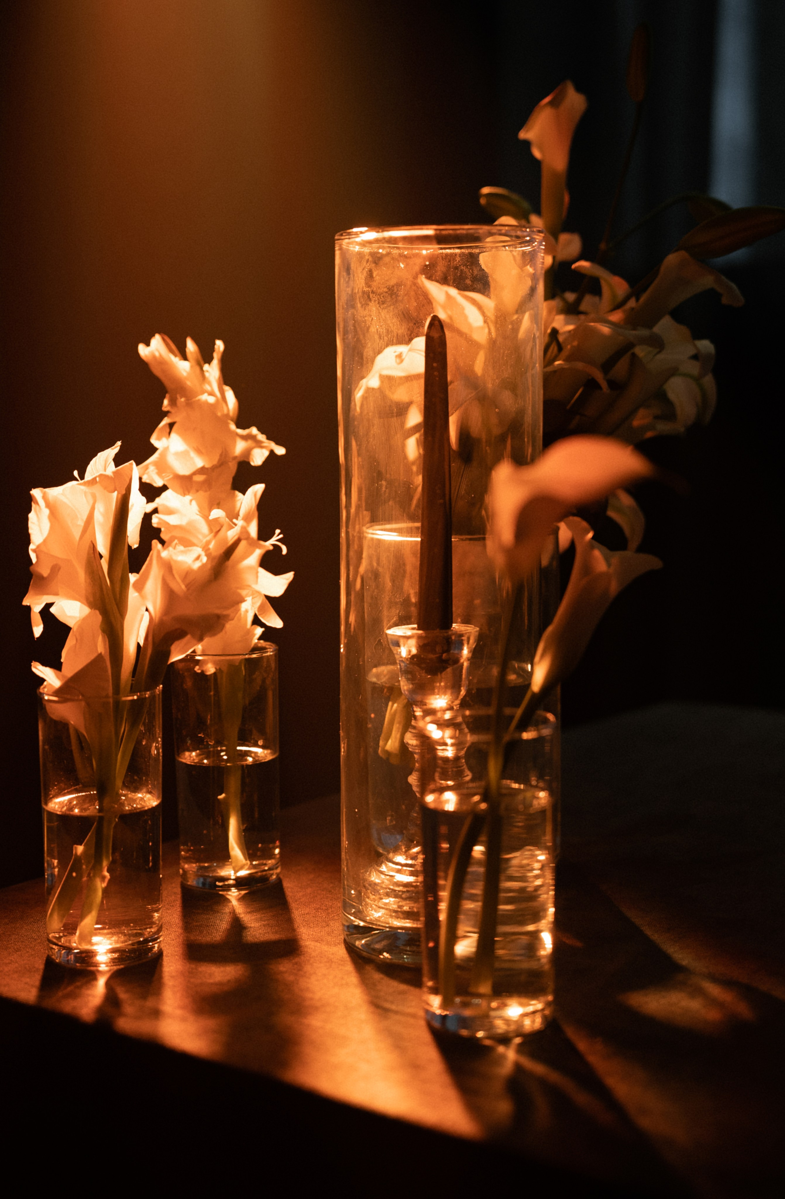 V+E. Полный день (сокращено). Семейный и портретный фотограф в Саратове Сахарова Маша