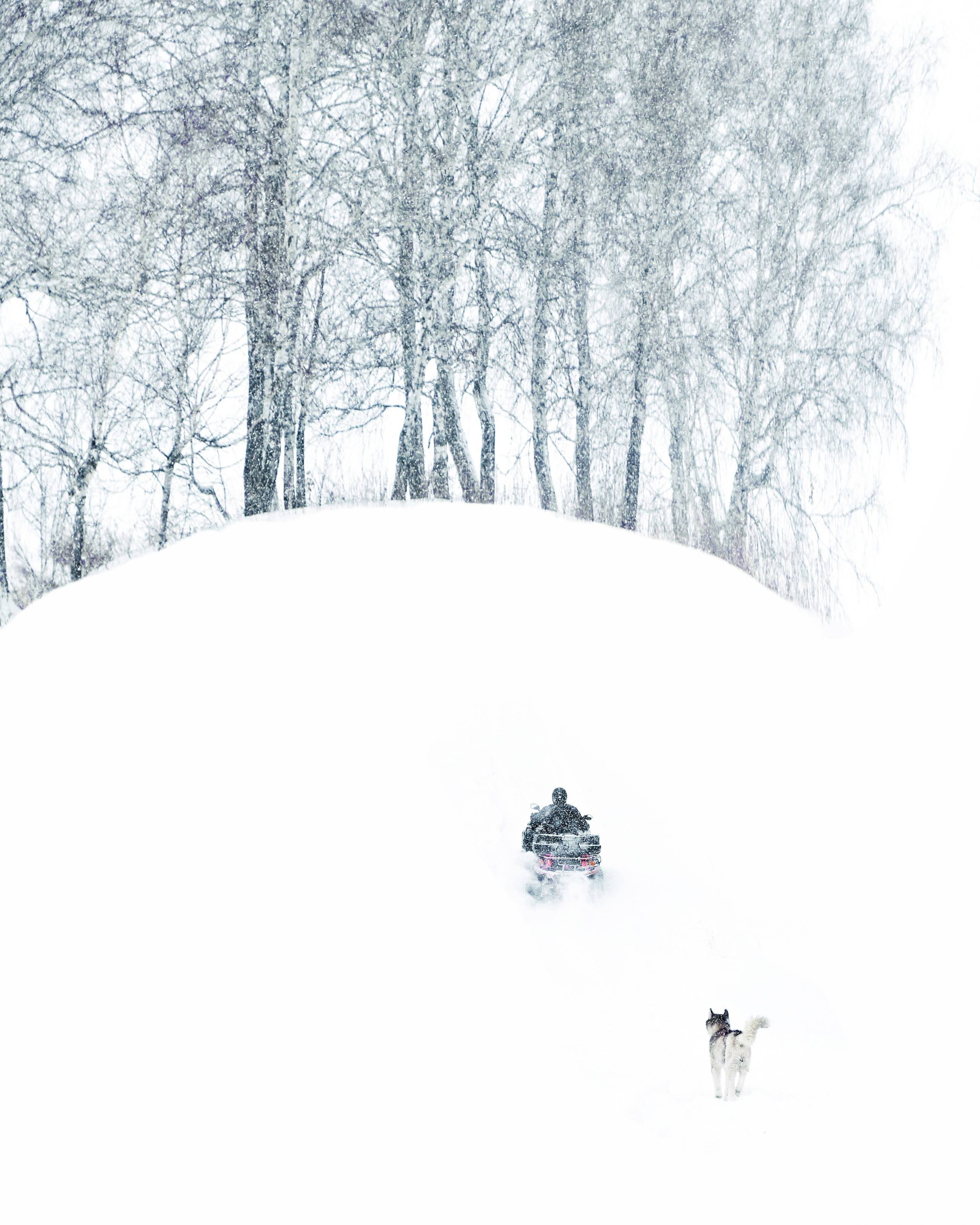 Одиночные работы / Singles. Visual artist Olga Burmistrova