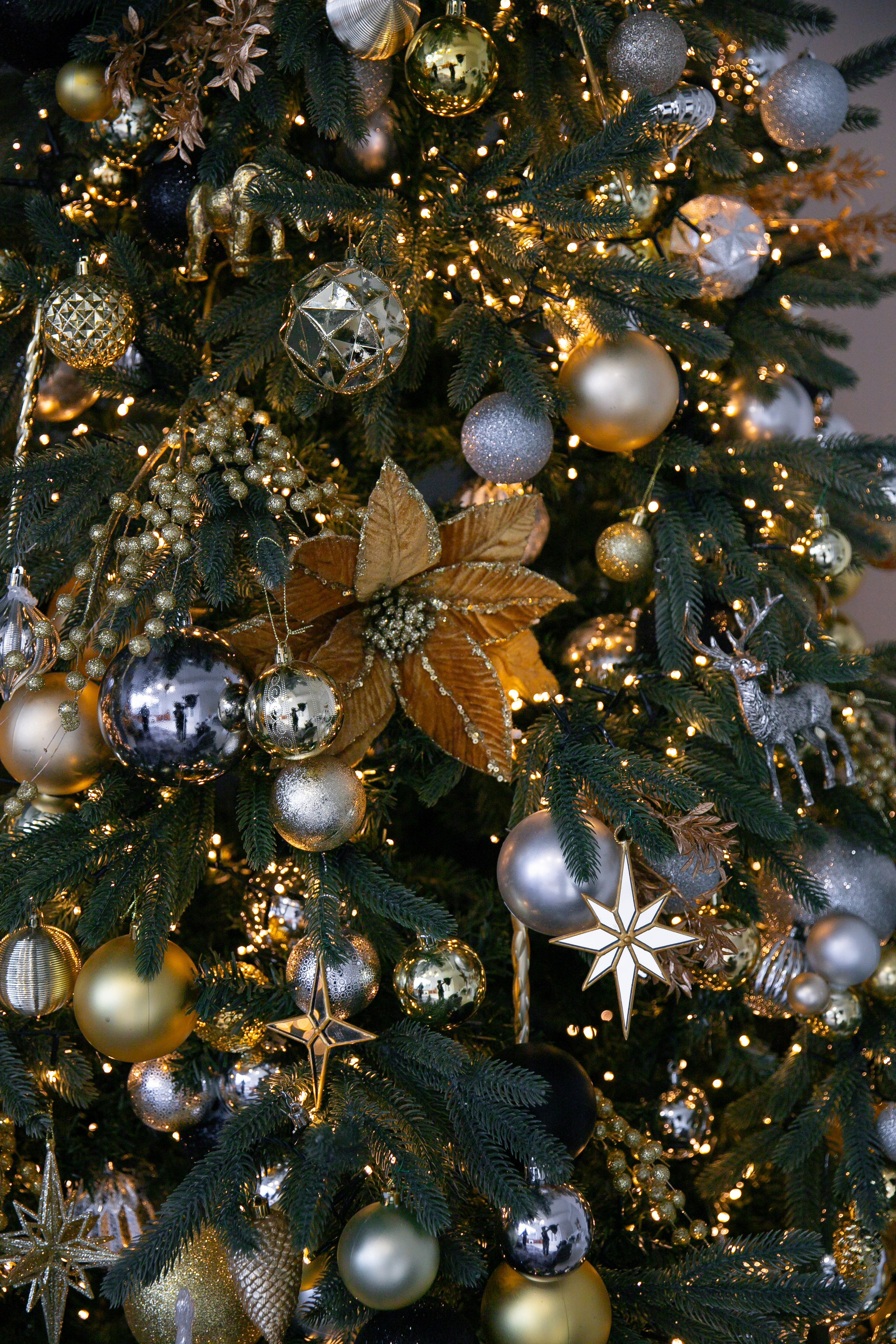 Ольга. Фотограф Анастасия Петрова