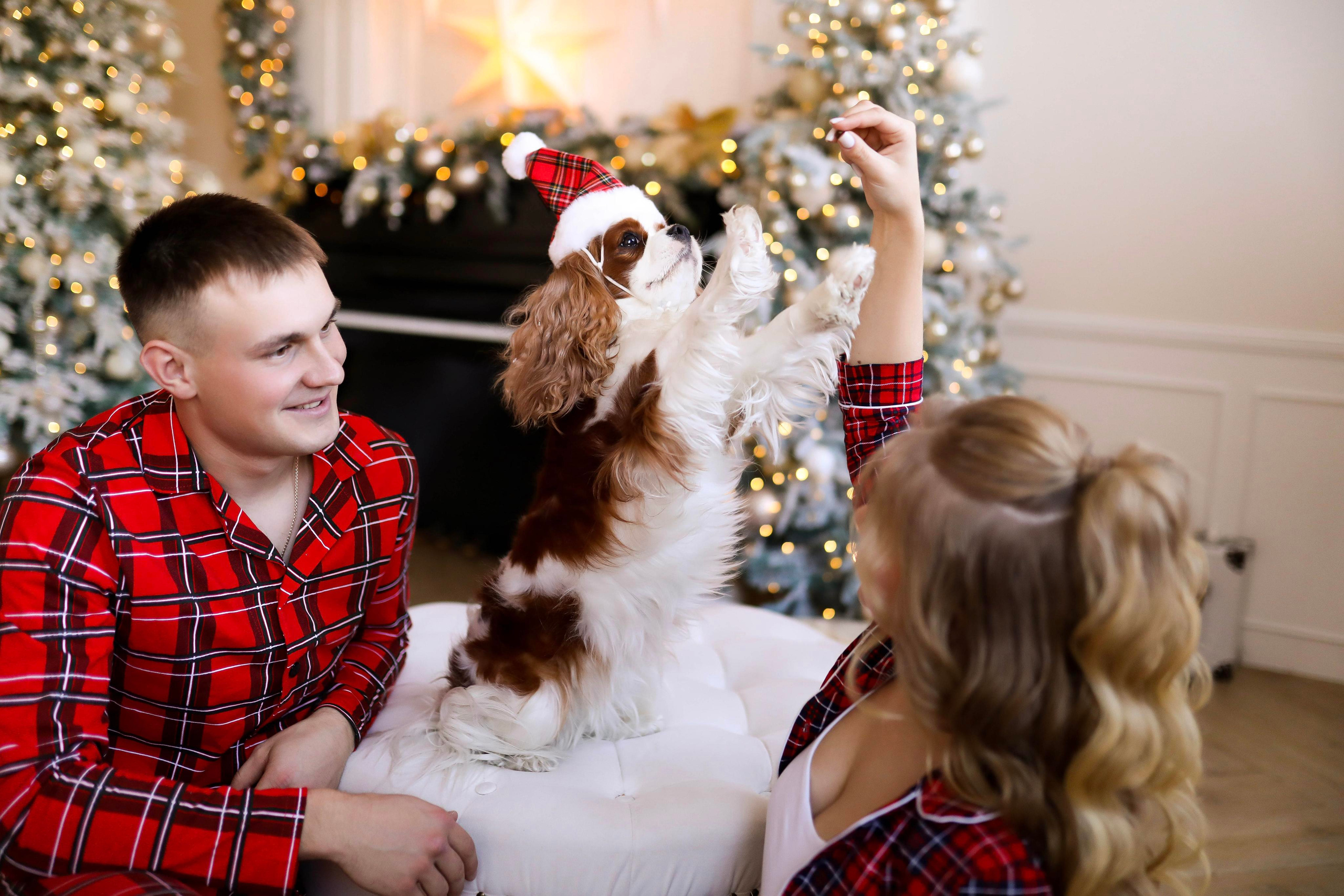 Вова Настя и Милка в Зале Париж и Лофт 2022. ФОТОГРАФ ХАБАРОВСК АНАСТАСИЯ РАЧЕНКОВА