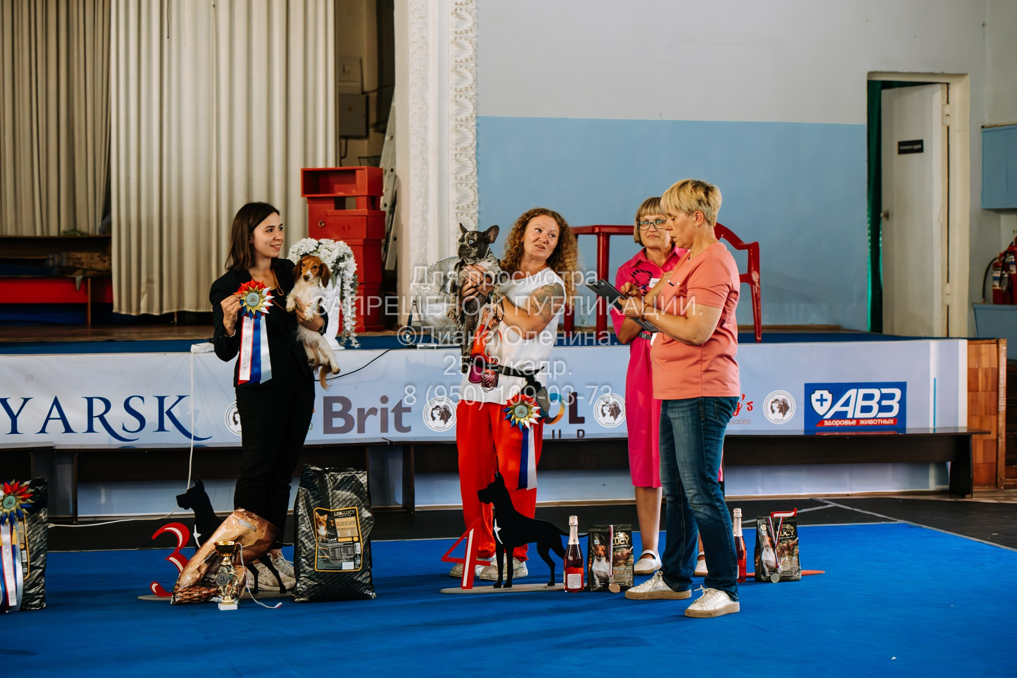 Национальная выставка собак всех пород ранга САС-IKU «Кубок Красноярск. Фотограф Диана Оленина Красноярск / Братск