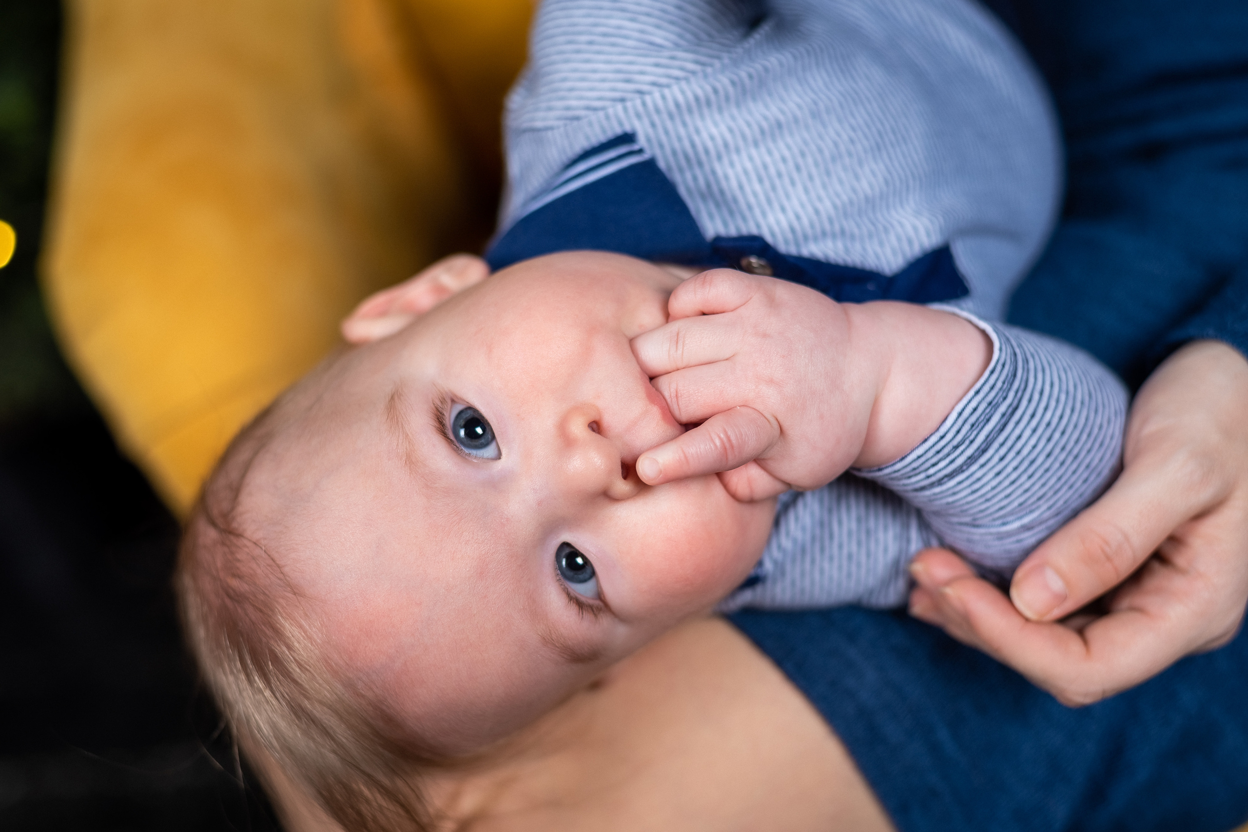 Семейная фотосессия с малышом. КОНТЕНТ | БРЕНД фотограф Санкт-Петербург — Жанна Олтаржевская