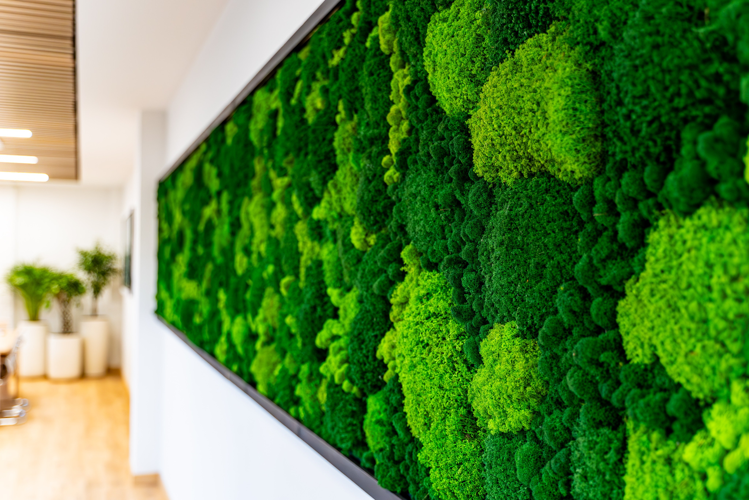 Индустриальный парк — озеленение. KUSTOV PRODUCTION — профессиональная фотосъёмка в Москве