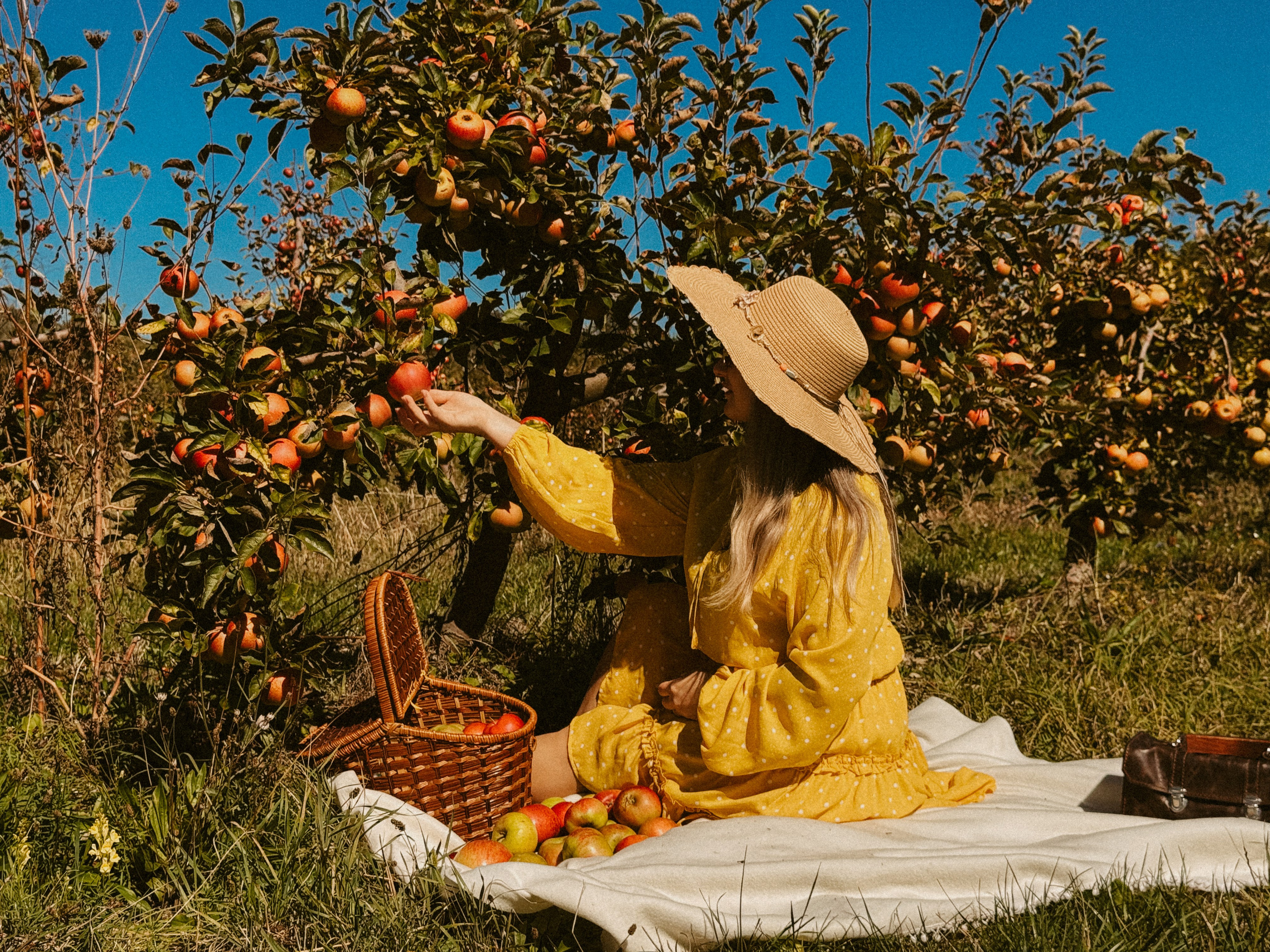 Ксюша Яблоки Сад. Inga Simonova | Семейный и детский фотограф у моря