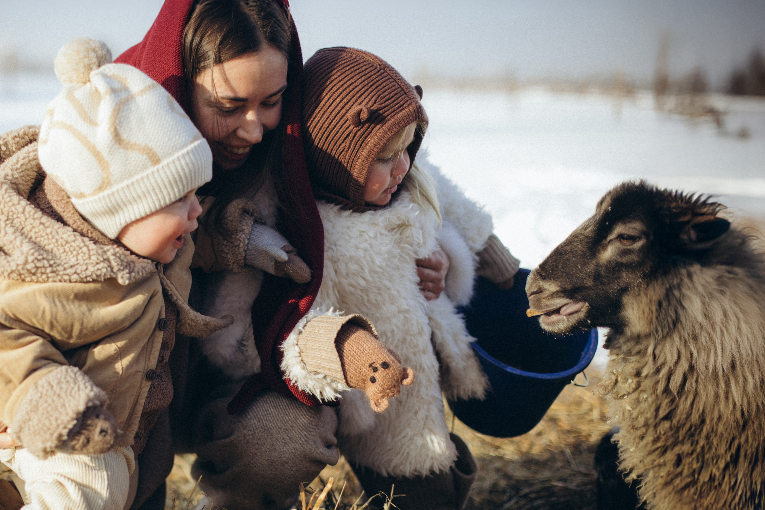 Настя с Сашей и Полей на ферме. Klerout Photographer