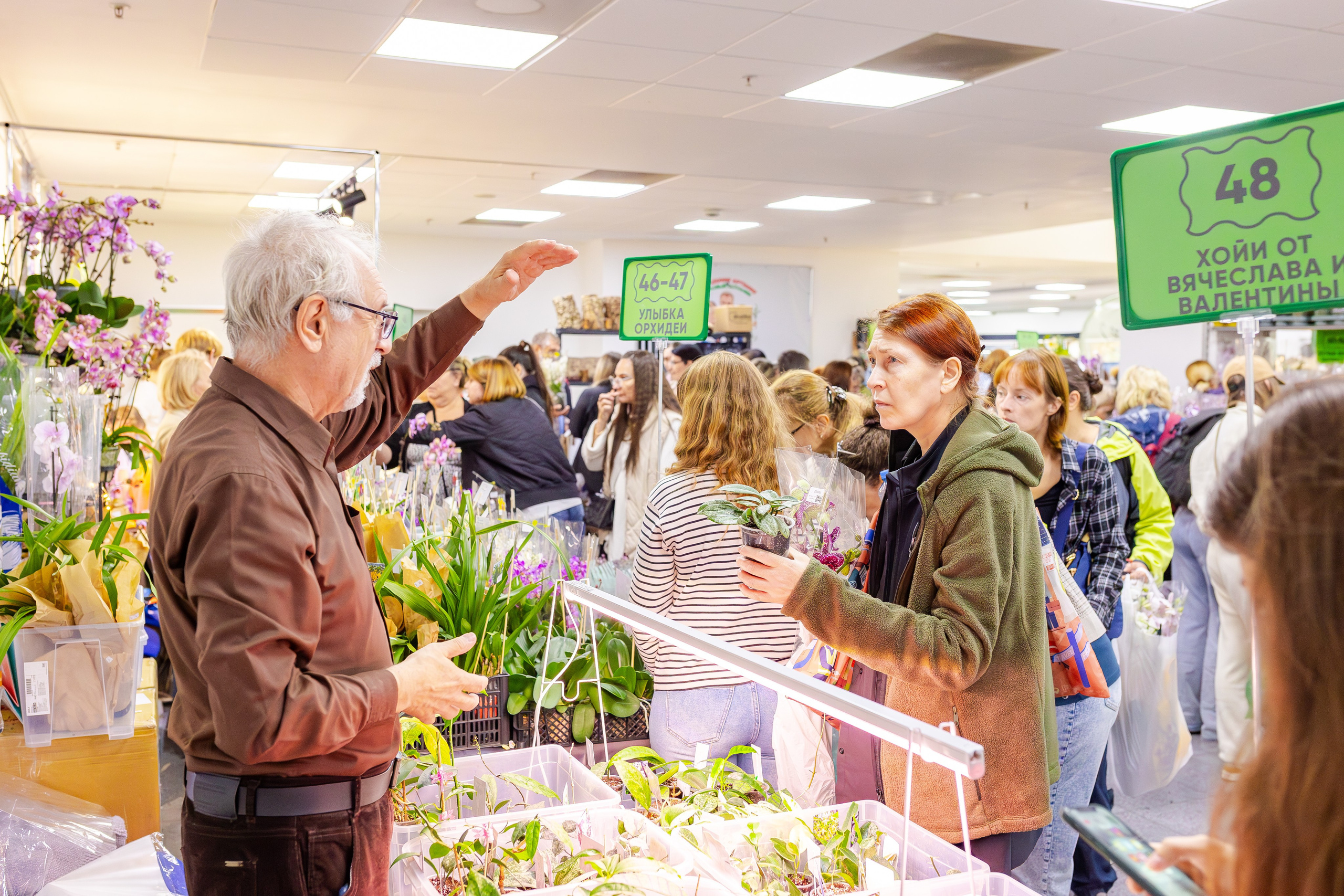 Орхидиум сентябрь 2025. Александра Куликова фотограф, Москва