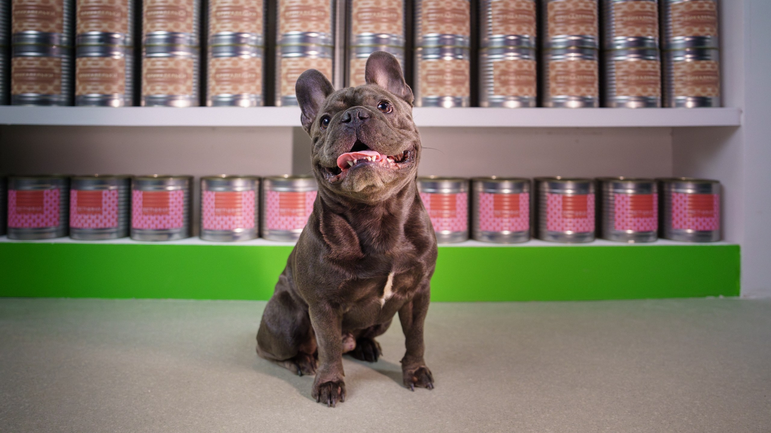 Сбер спасибо