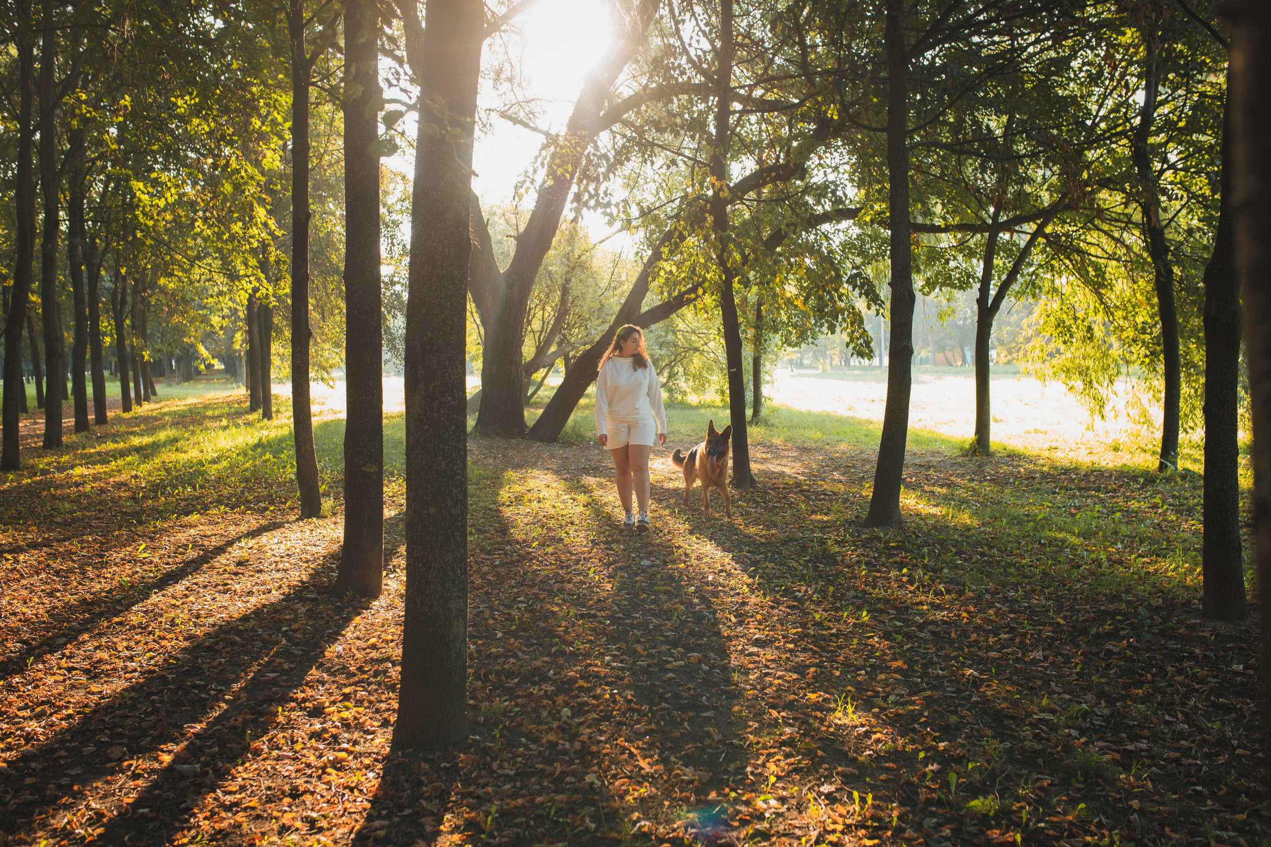 Фотопрогулка молодой девушки и ее собаки летним утром в парке. Семейный и школьный фотограф в Москве Анна Ткач