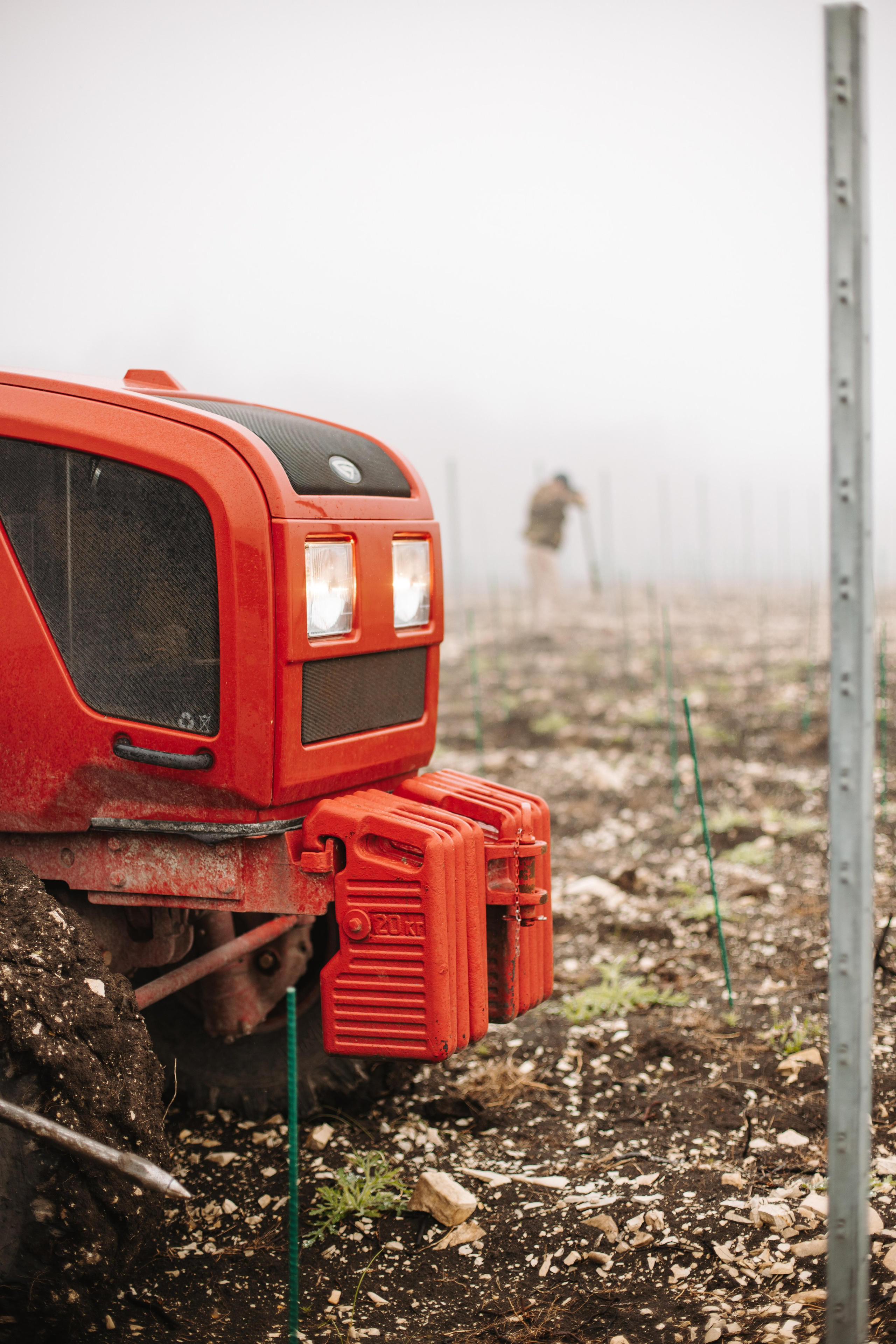 Lion Wine. Фотограф на Юге России