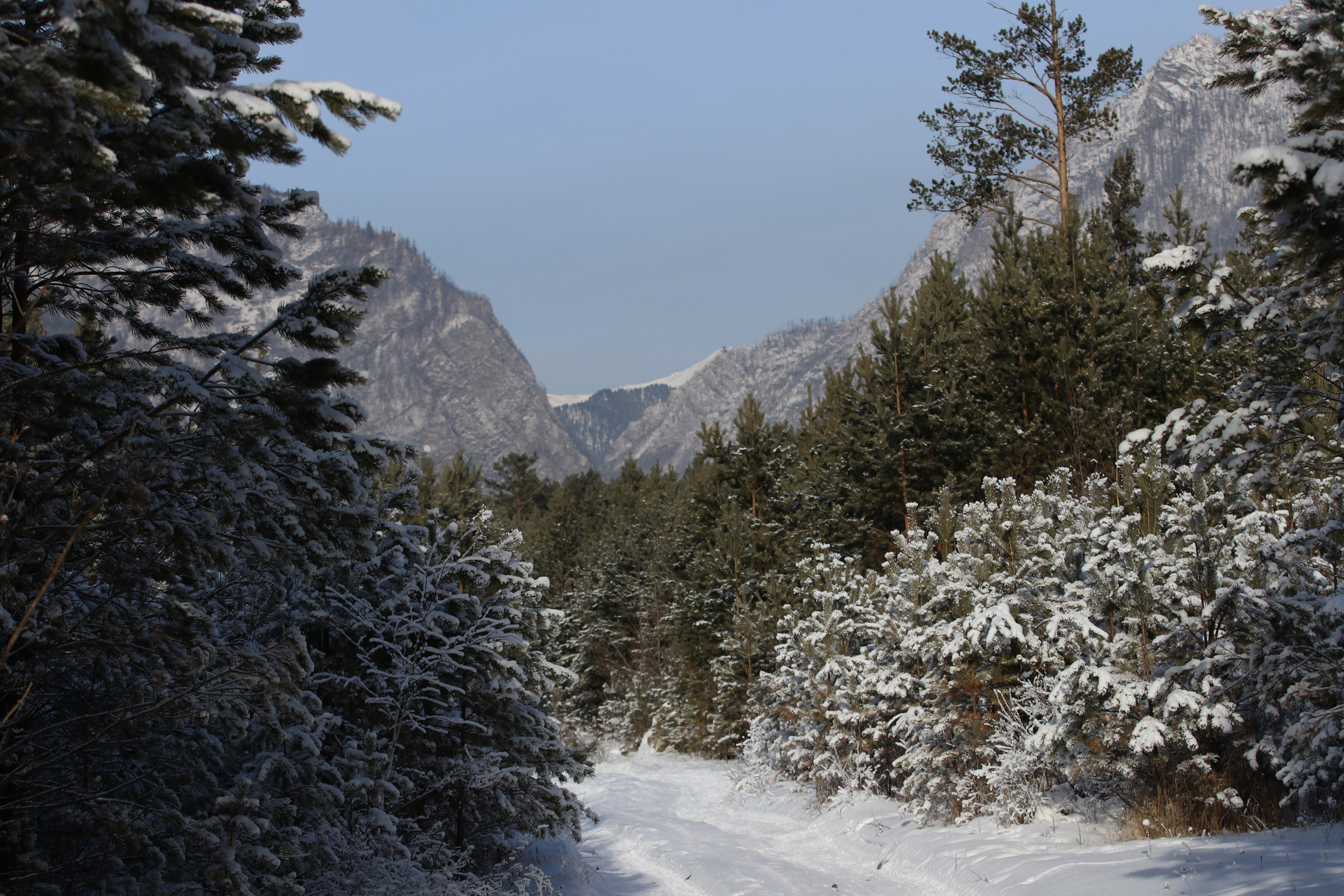 Аршан. Январь 2024. Путешественник-фотограф из Санкт-Петербурга Татьяна Свистулина
