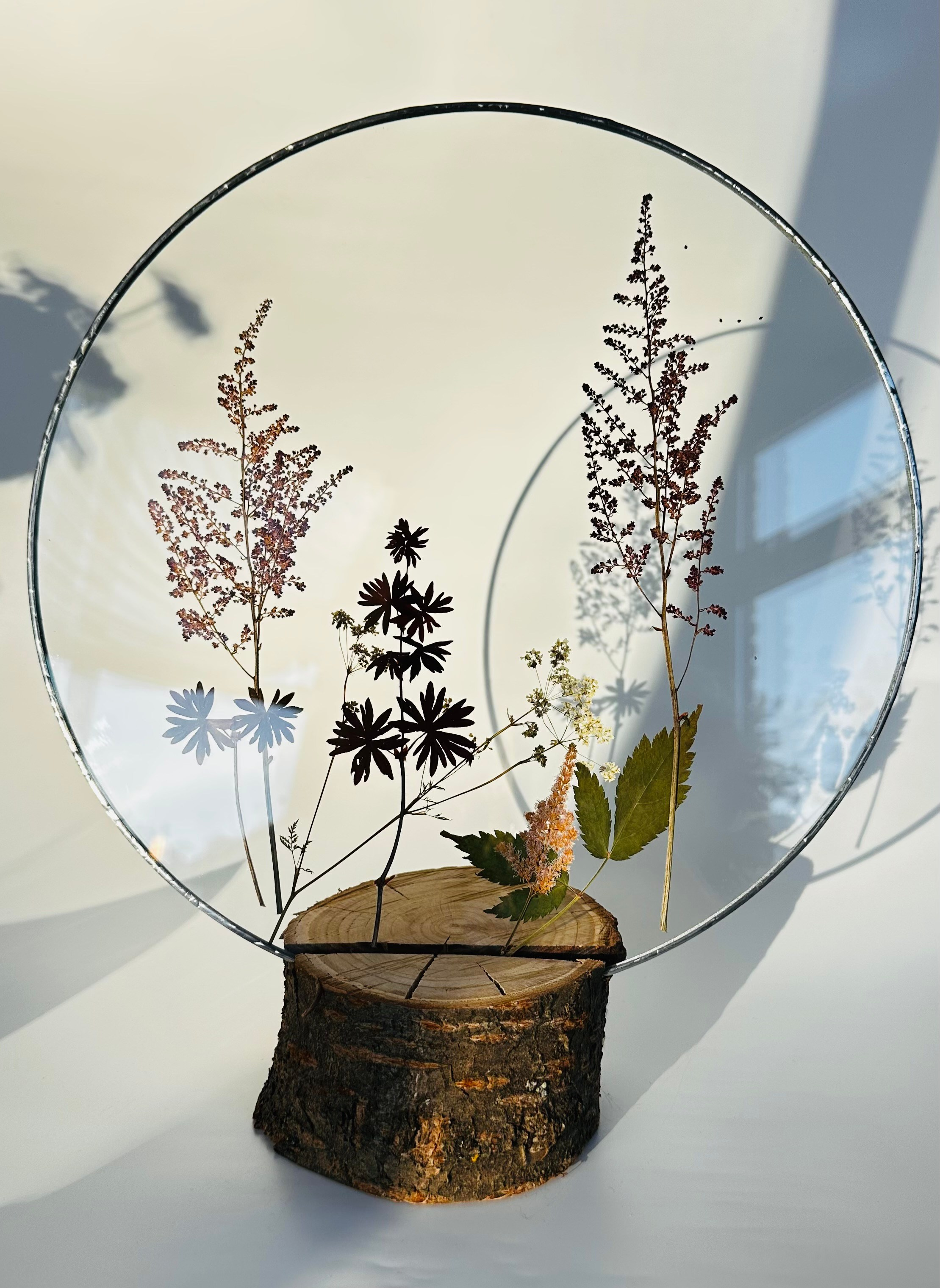 Гербарий в стекле с сухоцветами (витраж в технике тиффани). Гербарий в стекле, интерьерные панно, витражи с сухоцветами в технике тиффани