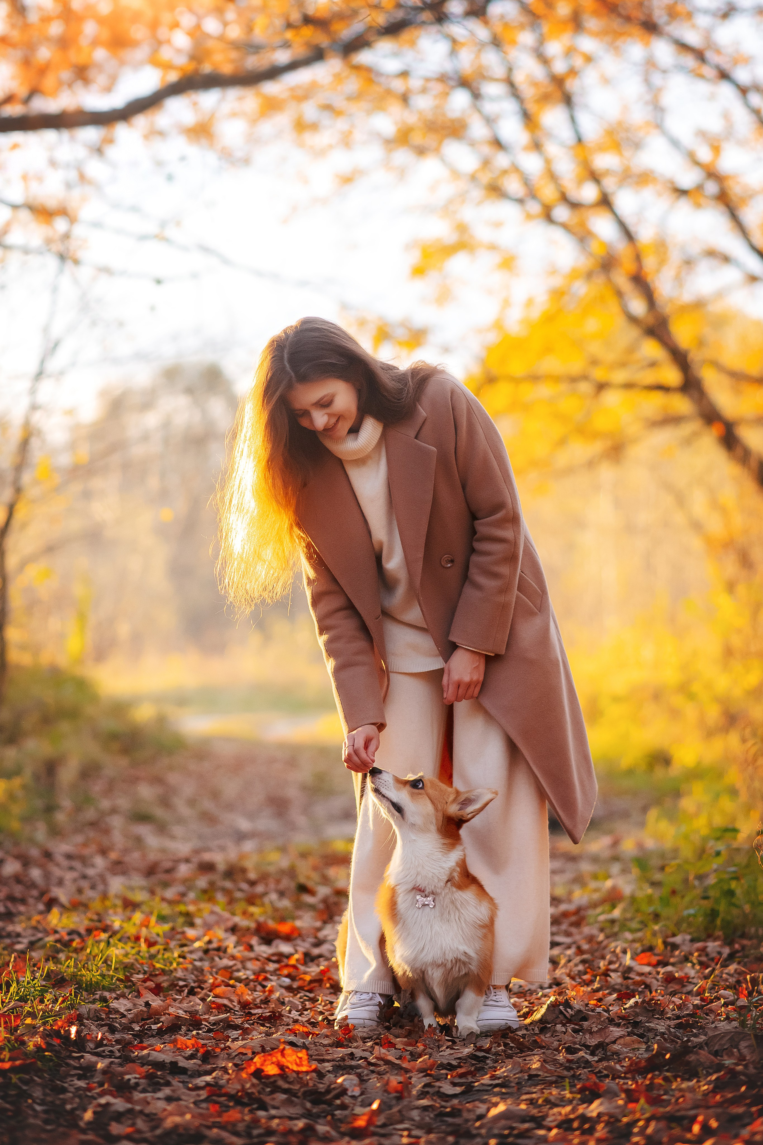 Максим, Аня и Челси — 19.10.2024. Фотограф — Анималист | Анна Абрамова
