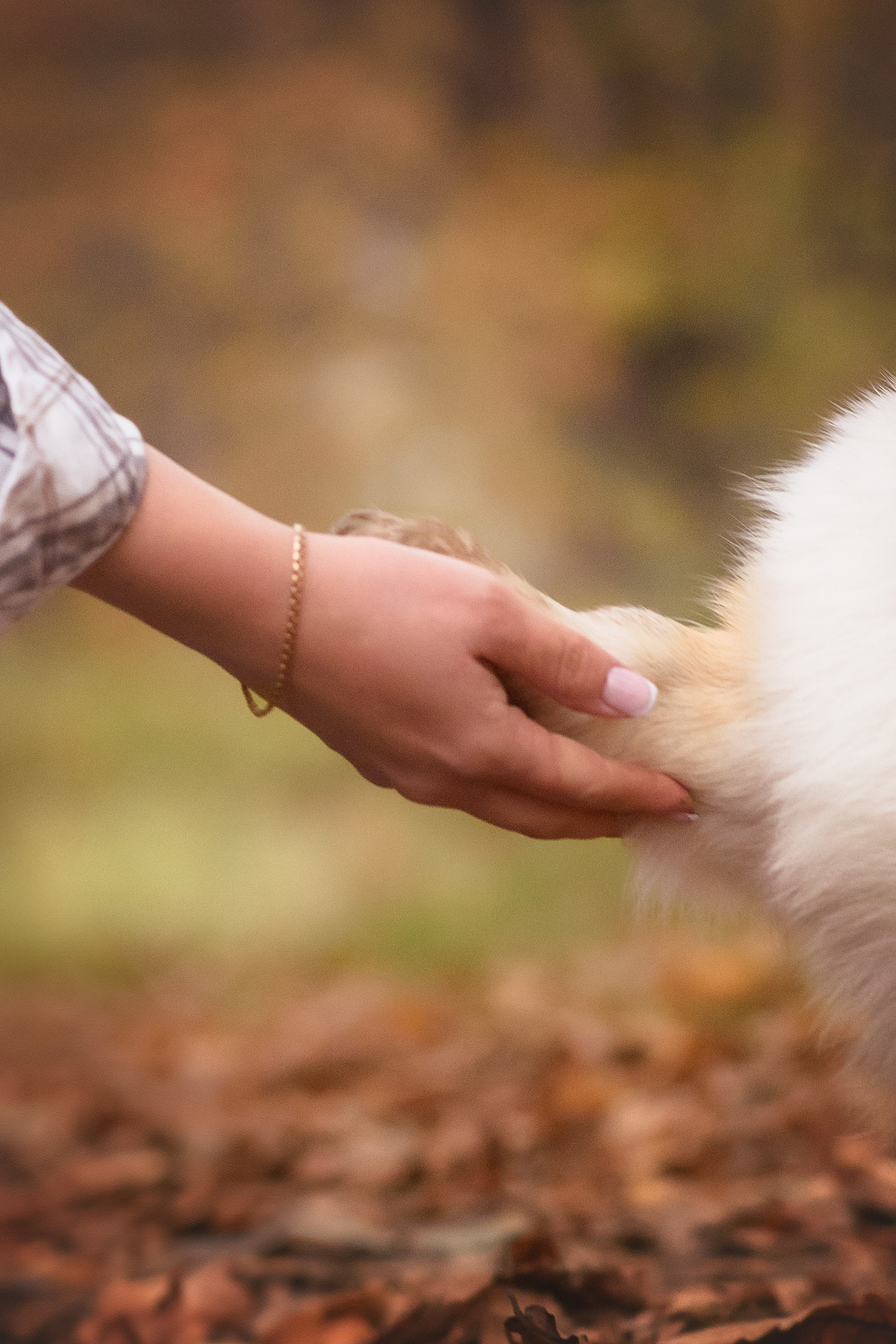 Женя и Феникс — 05.10.2024. Фотограф — Анималист | Анна Абрамова