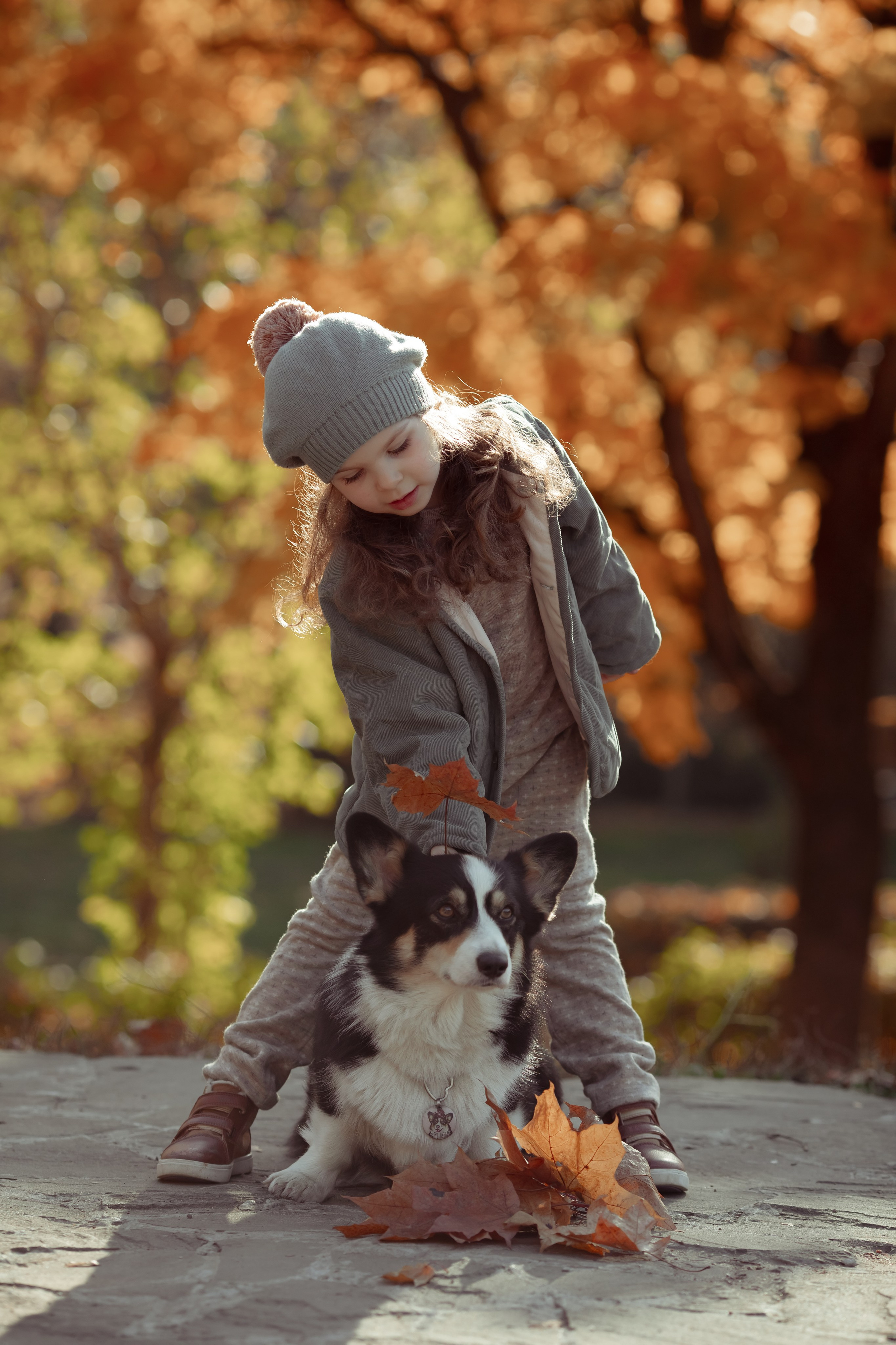 Эва с корги. Семейный и детский фотограф в Москве Дорогова Екатерина