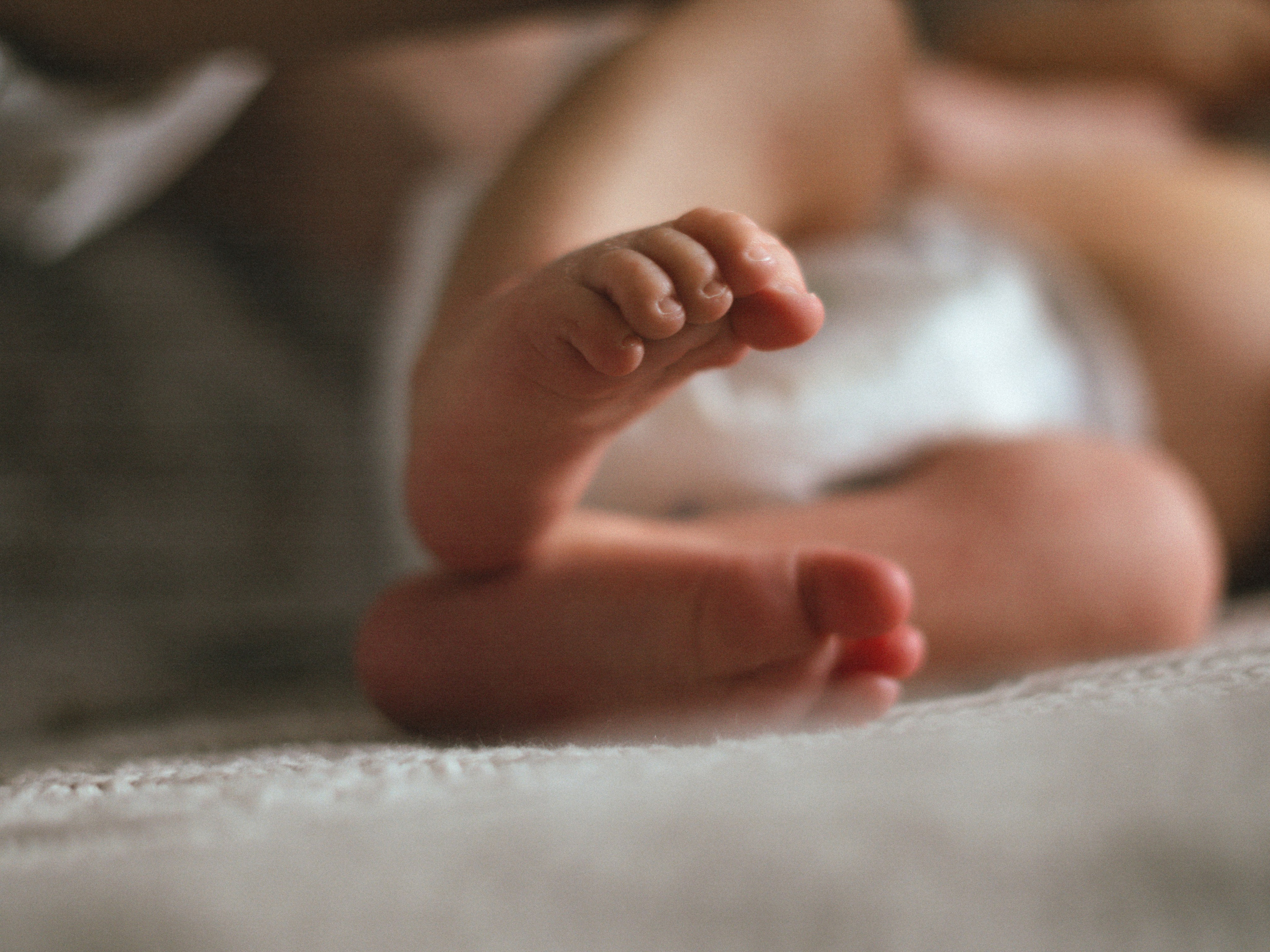 Мироша. SHILOVA PHOTO. Шилова Екатерина. Фотограф. Москва