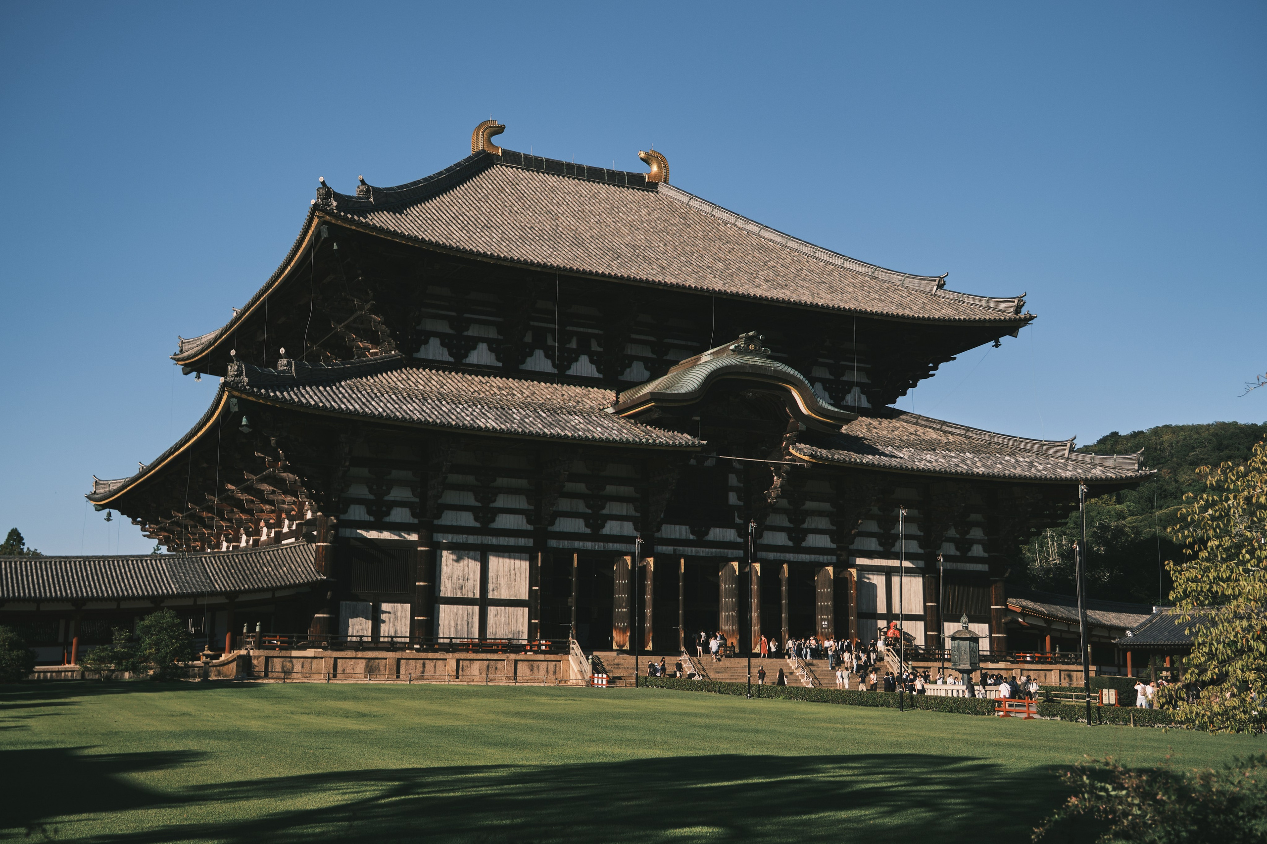 Храм Тодай-дзи, Нара, Япония