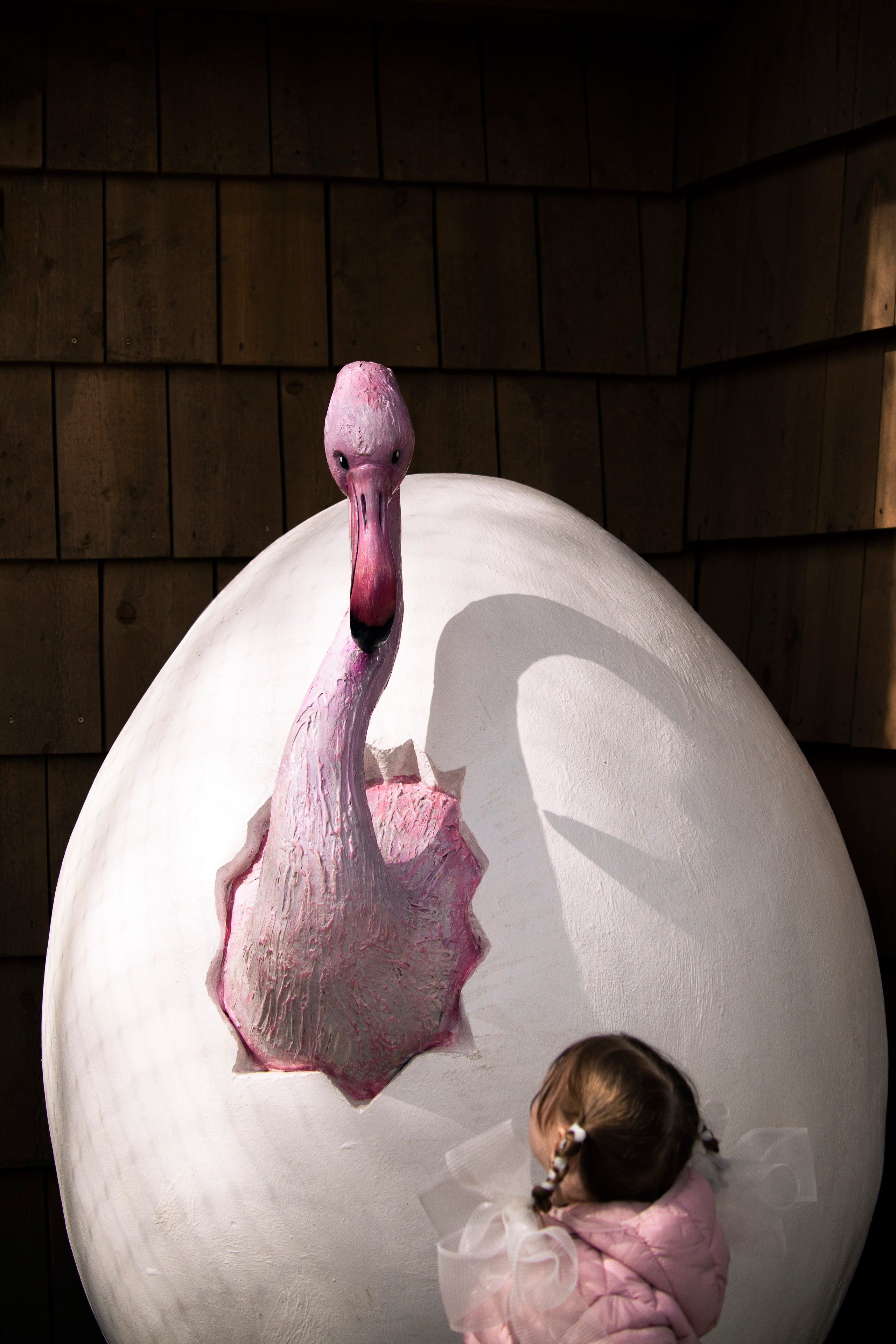 Цветные фотографии. Фотографии Лены Соколовой