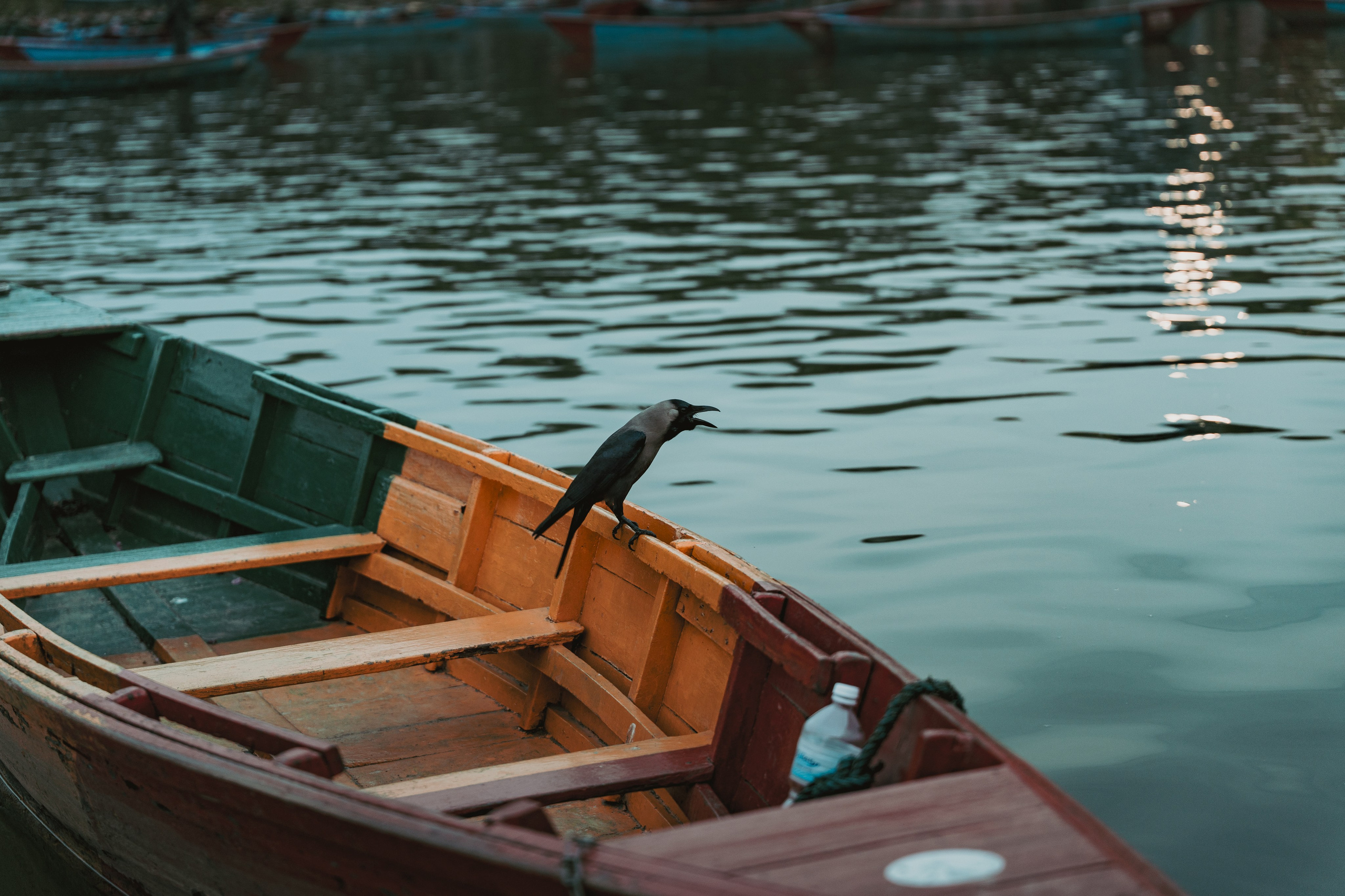 Nepal. Dmitry Ippolitov