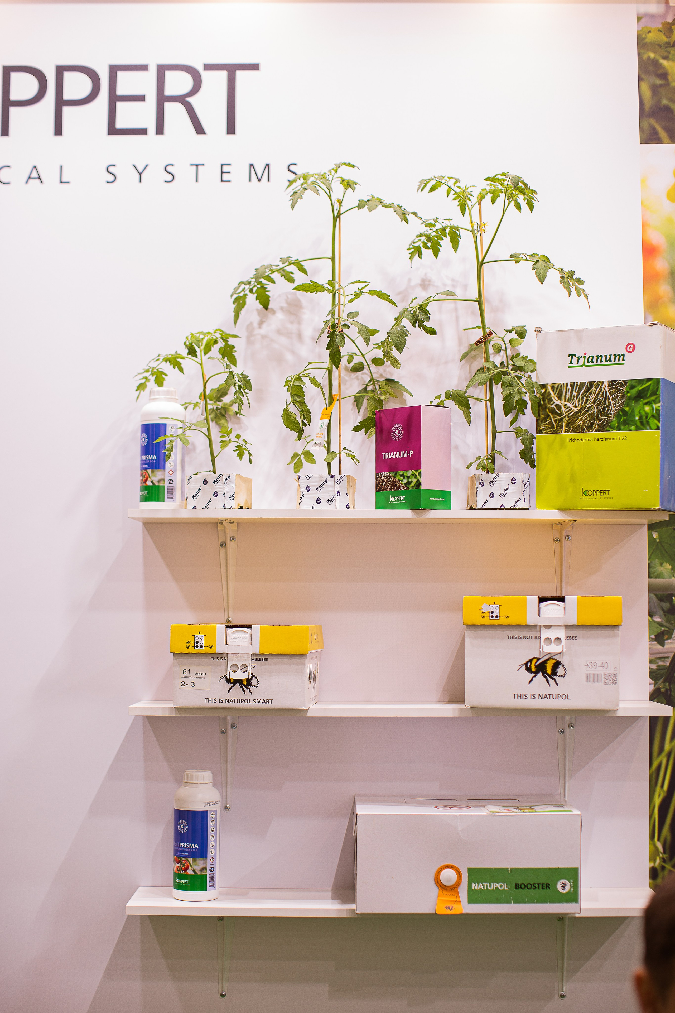 8/06/2021 ВДНХ. Фотограф НатаФото (Наталья Яковенко) Дмитров Москва Питер