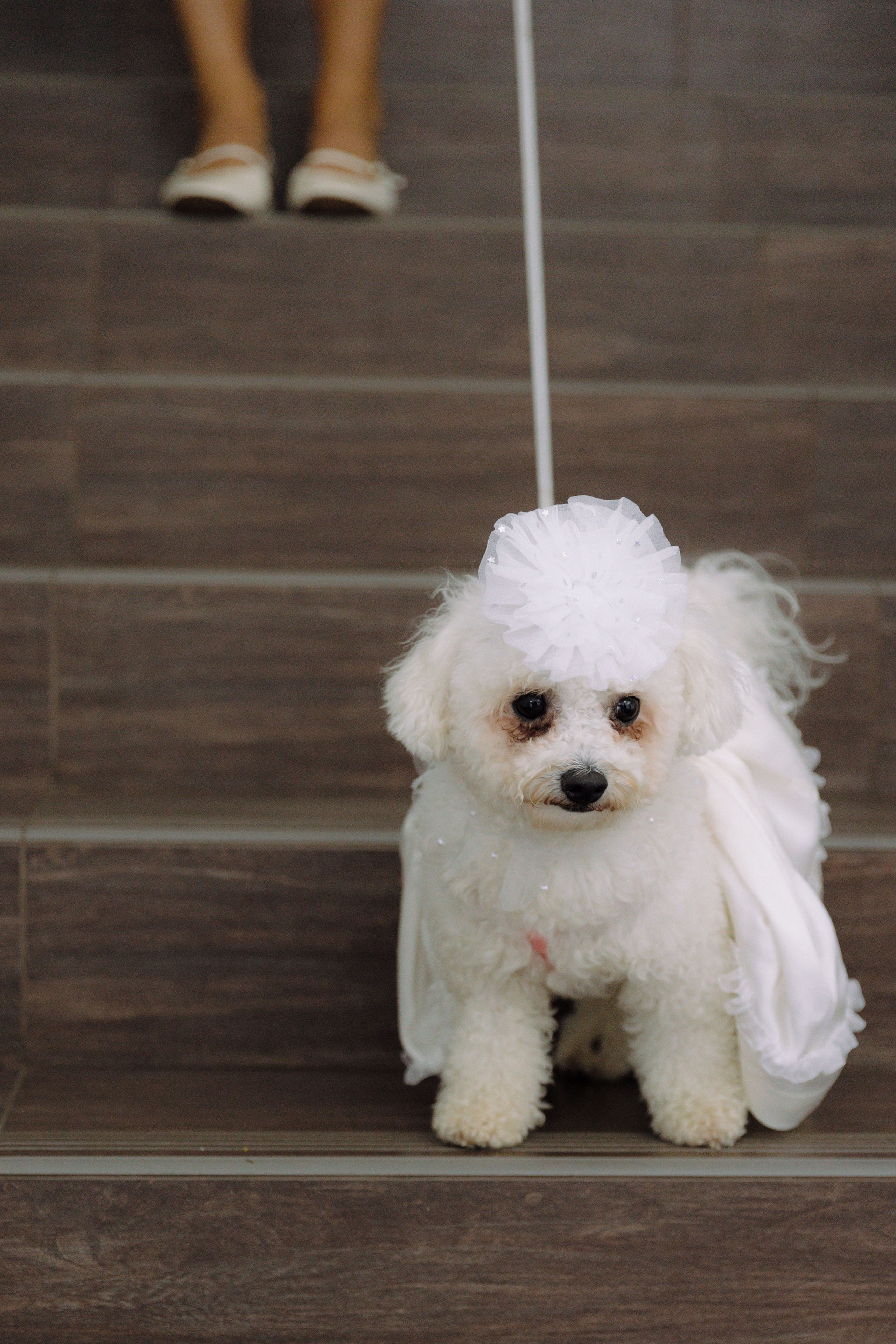 Artem & Anastasia. Главная