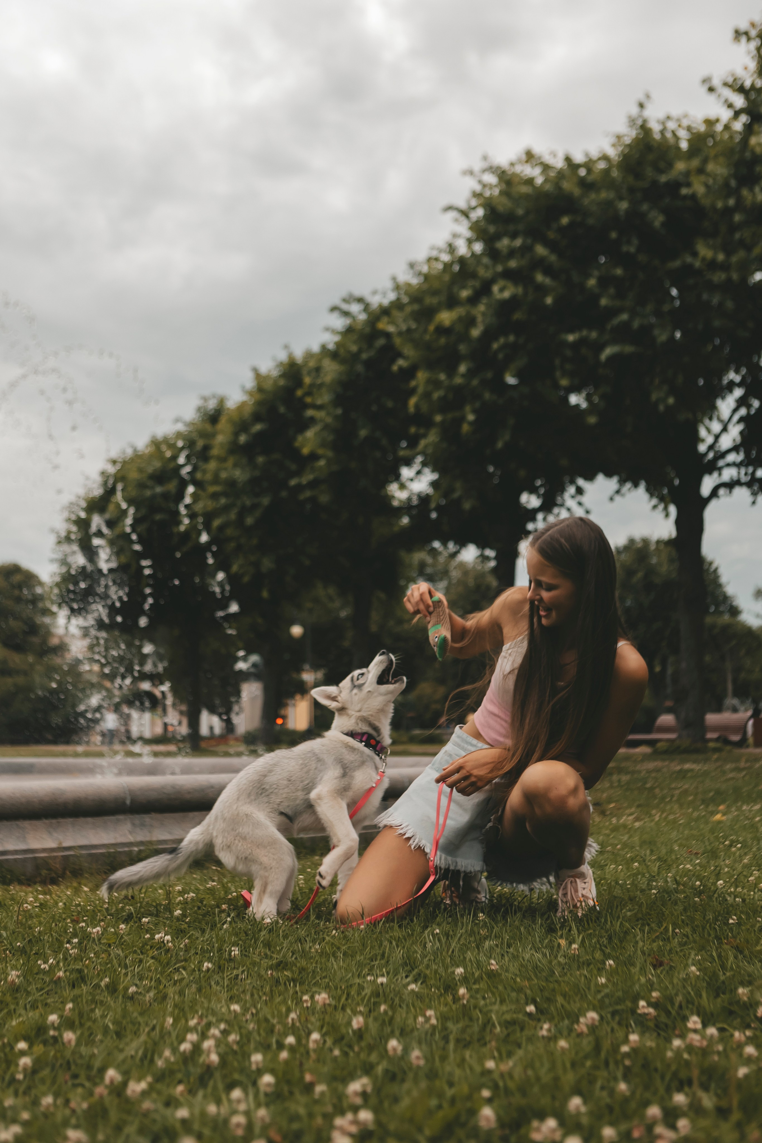 Милана и Белка. Фотограф-анималист в Санкт-Петербурге Алина Яхонт