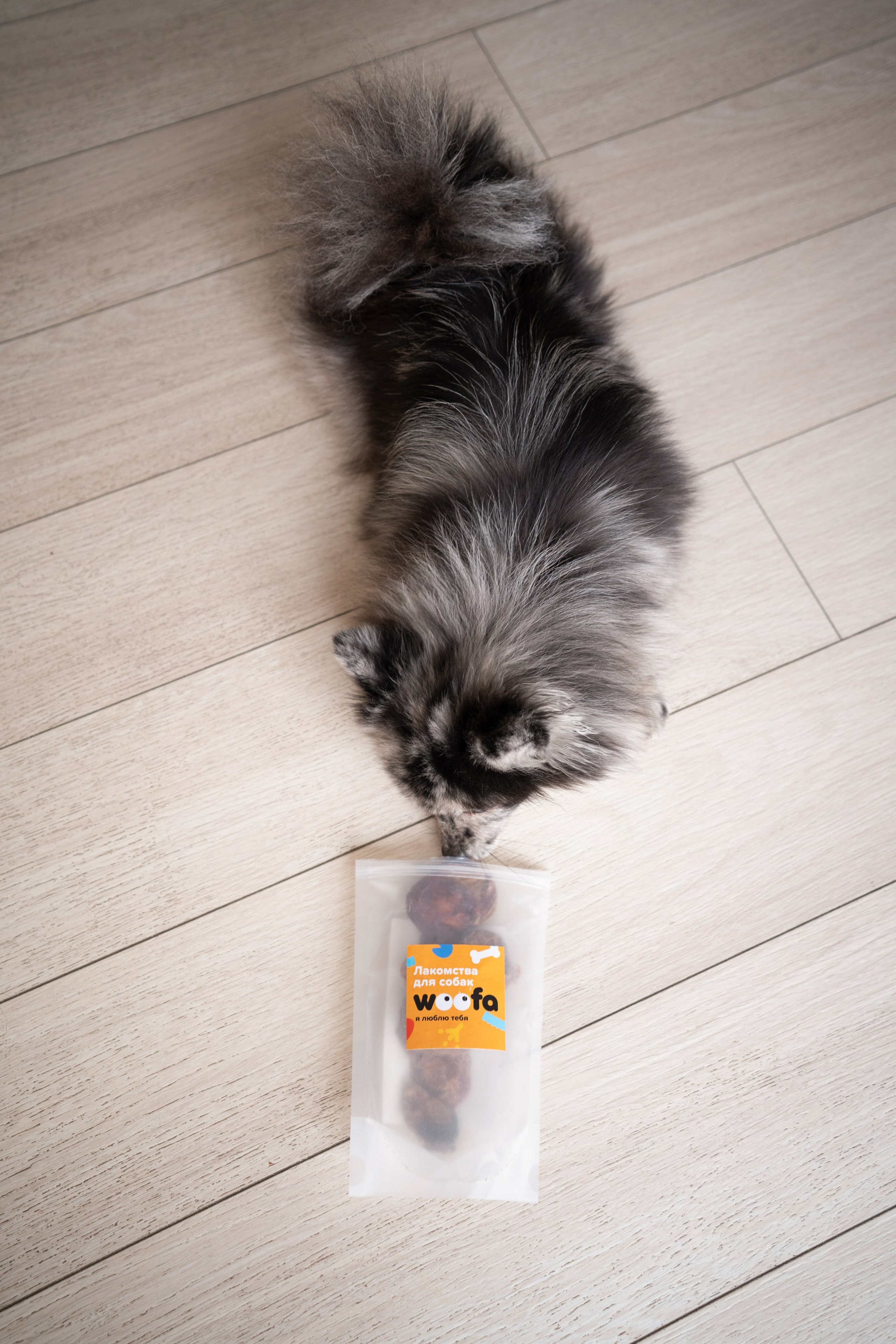 Лакомства Woofa. Фотограф анималист Осипчикова Мария