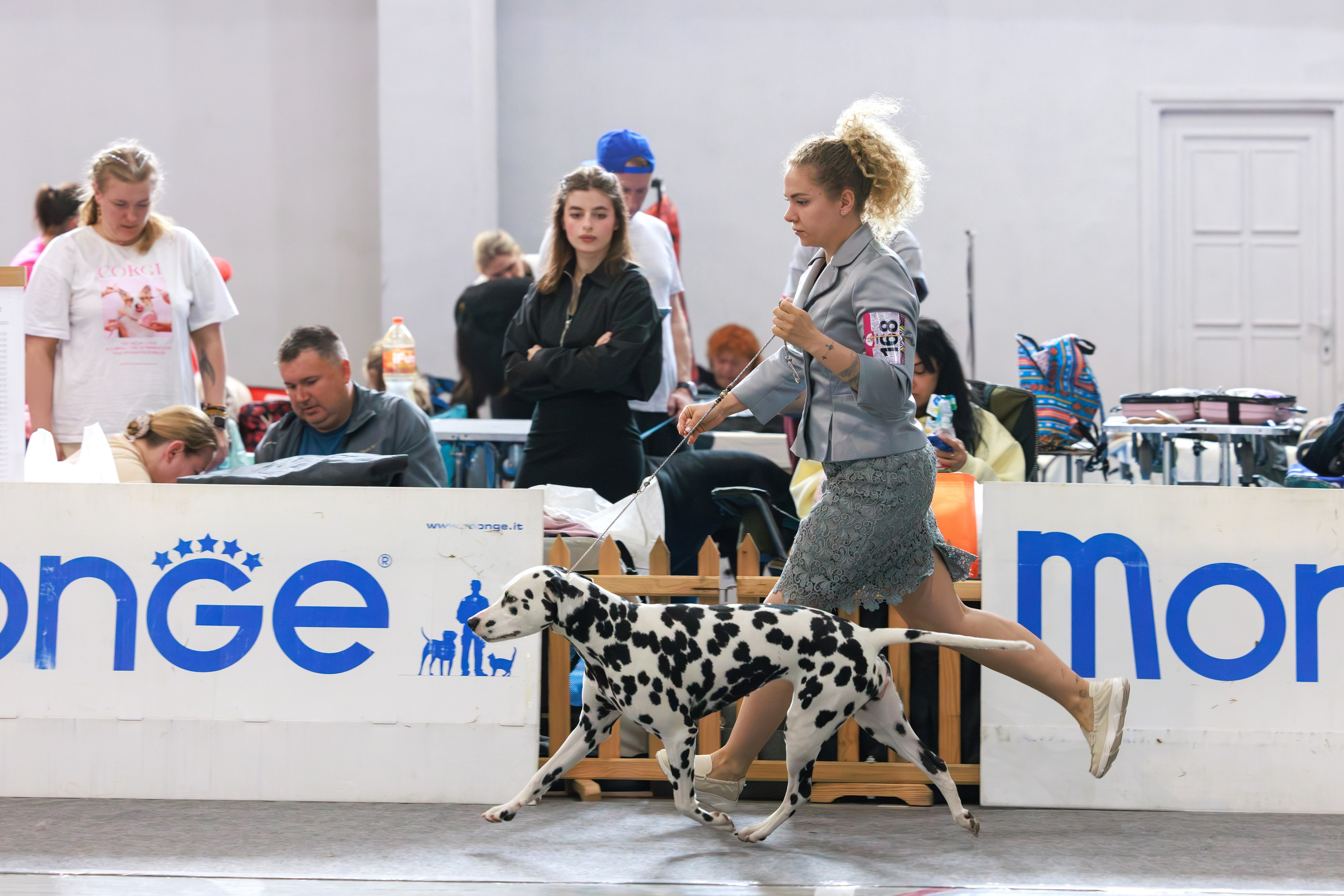 Ереван 2х CACIB 29-30.04.2025. Фотограф-анималист Юлия Германика