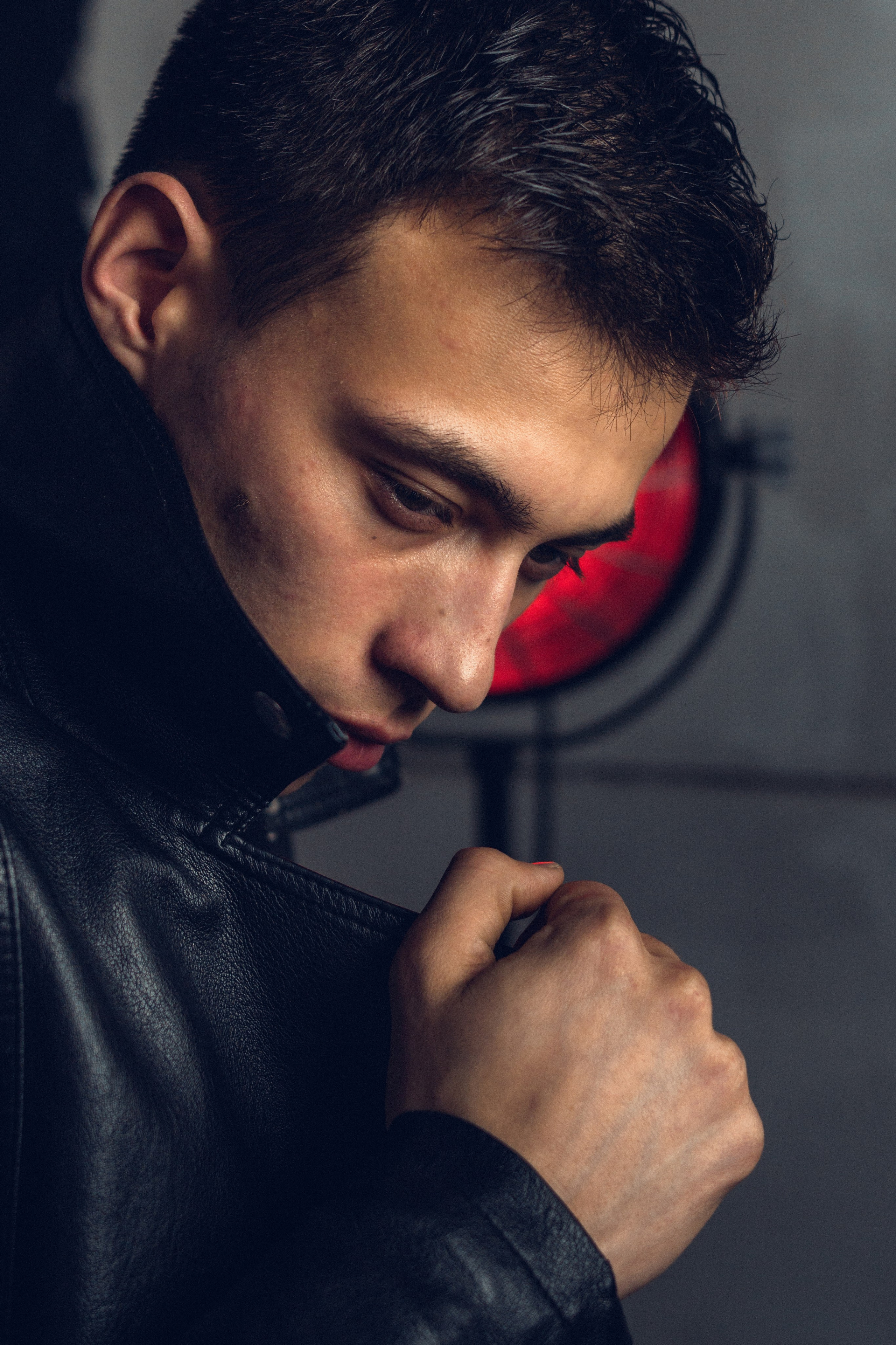 Лев. Фотограф в Томске Светлана Нестерова