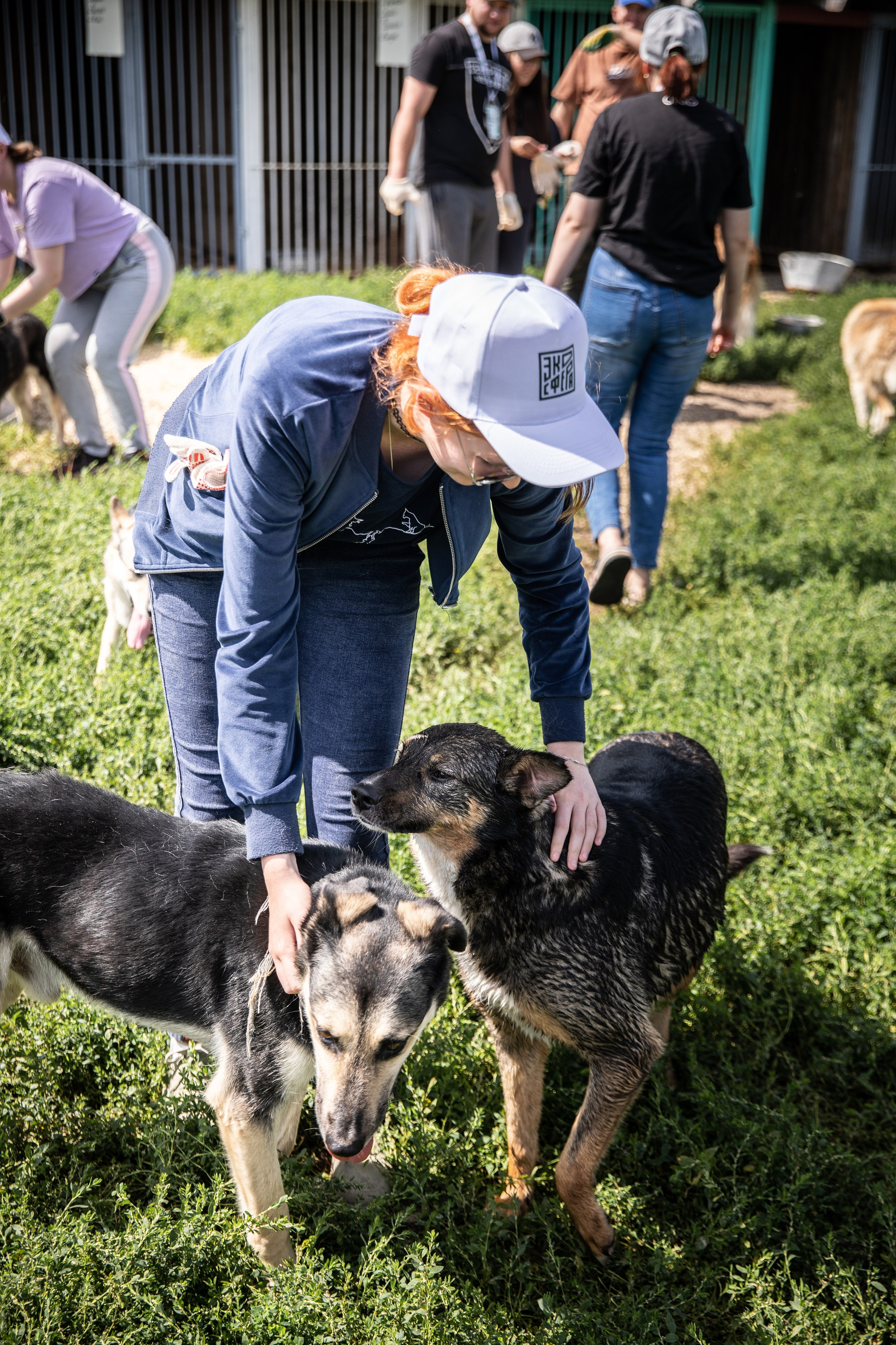 Приют — Наш дом. Репортажный и свадебный фотограф в Челябинске Елисеев Павел