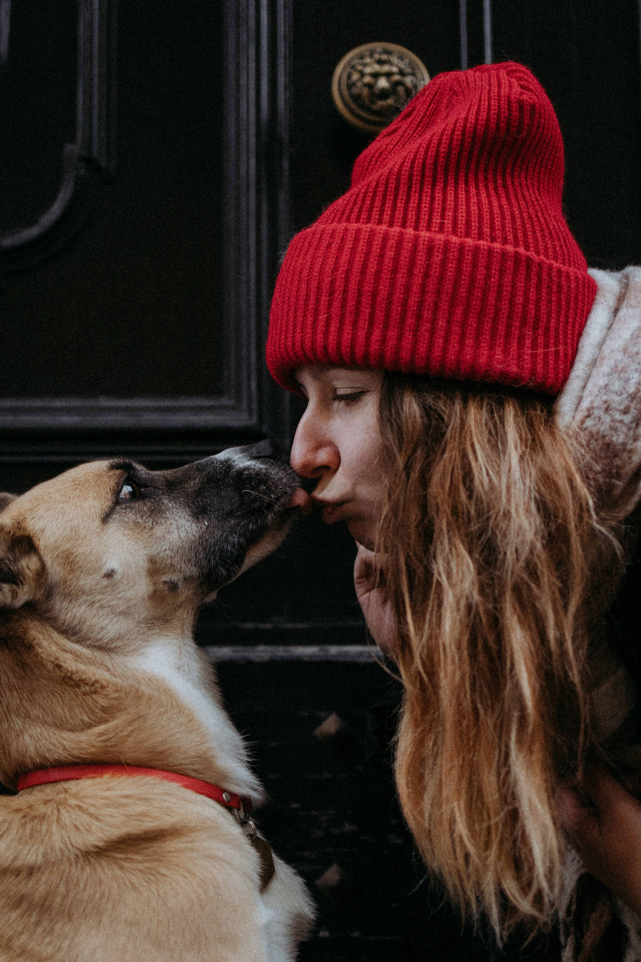 Саша, Ксюша и их банда. Фотораф — анималист Мария Шистка
