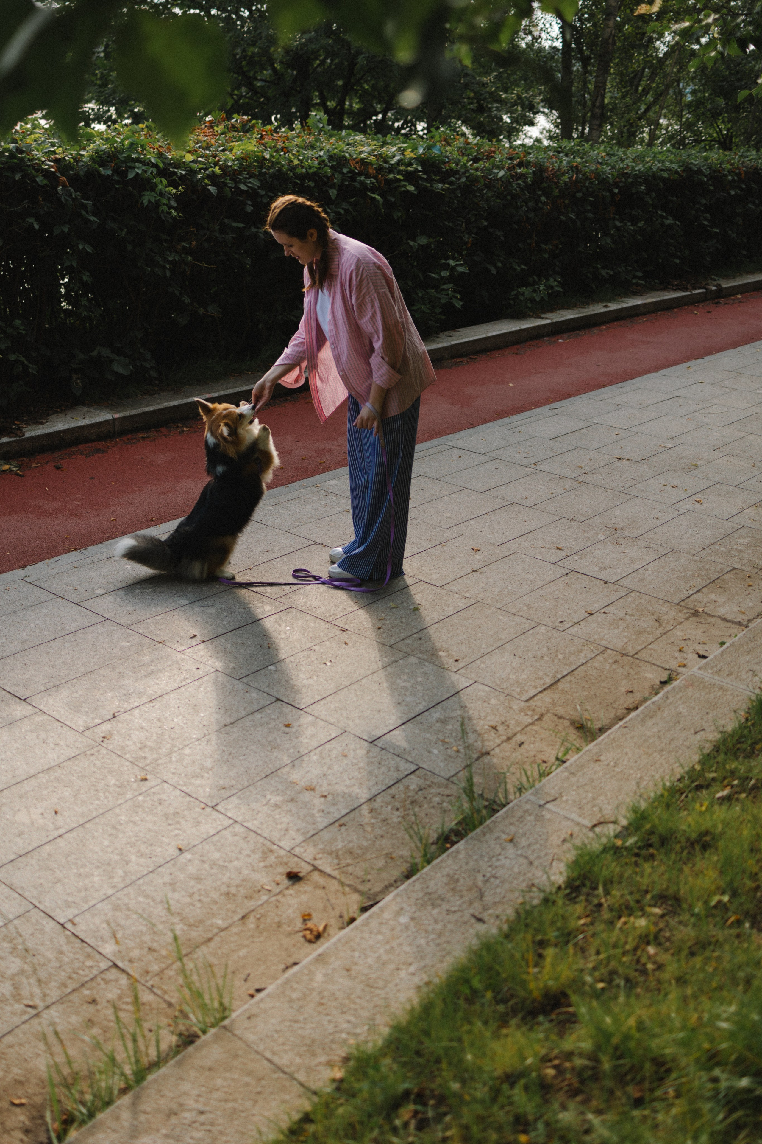 Мишель и Влада. Фотораф — анималист Мария Шистка