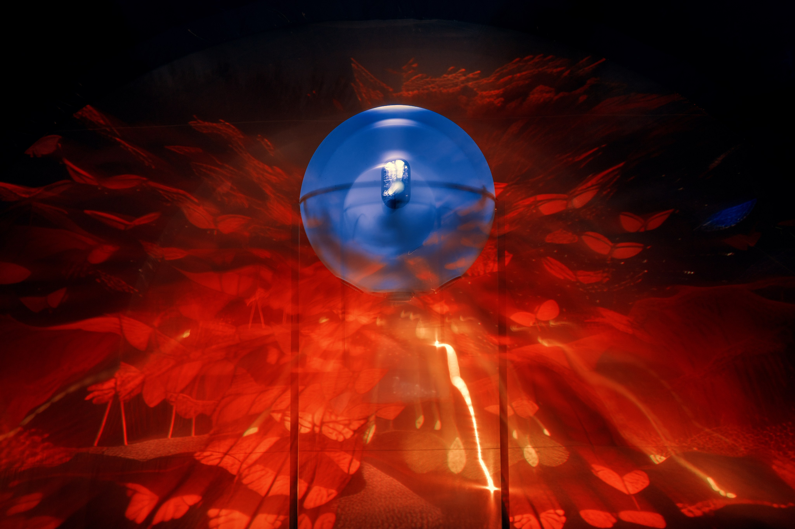 NUR 2024. @tomrus: Рустам Шагиморданов — фотограф