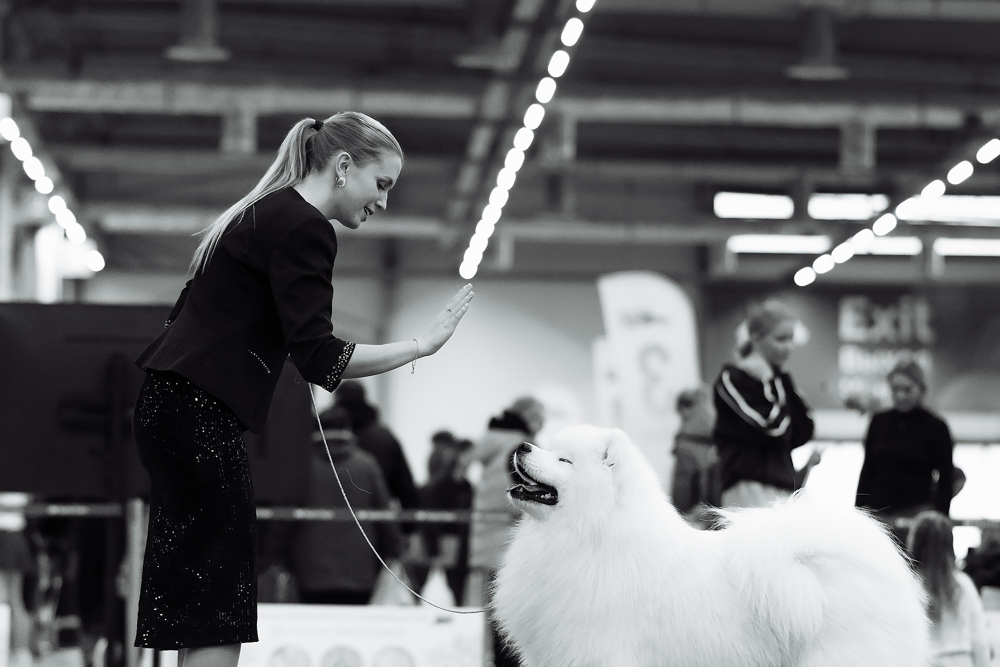 29-30.11.2025 — Казань «Зилант». Фотограф-анималист Саша Вязьмина