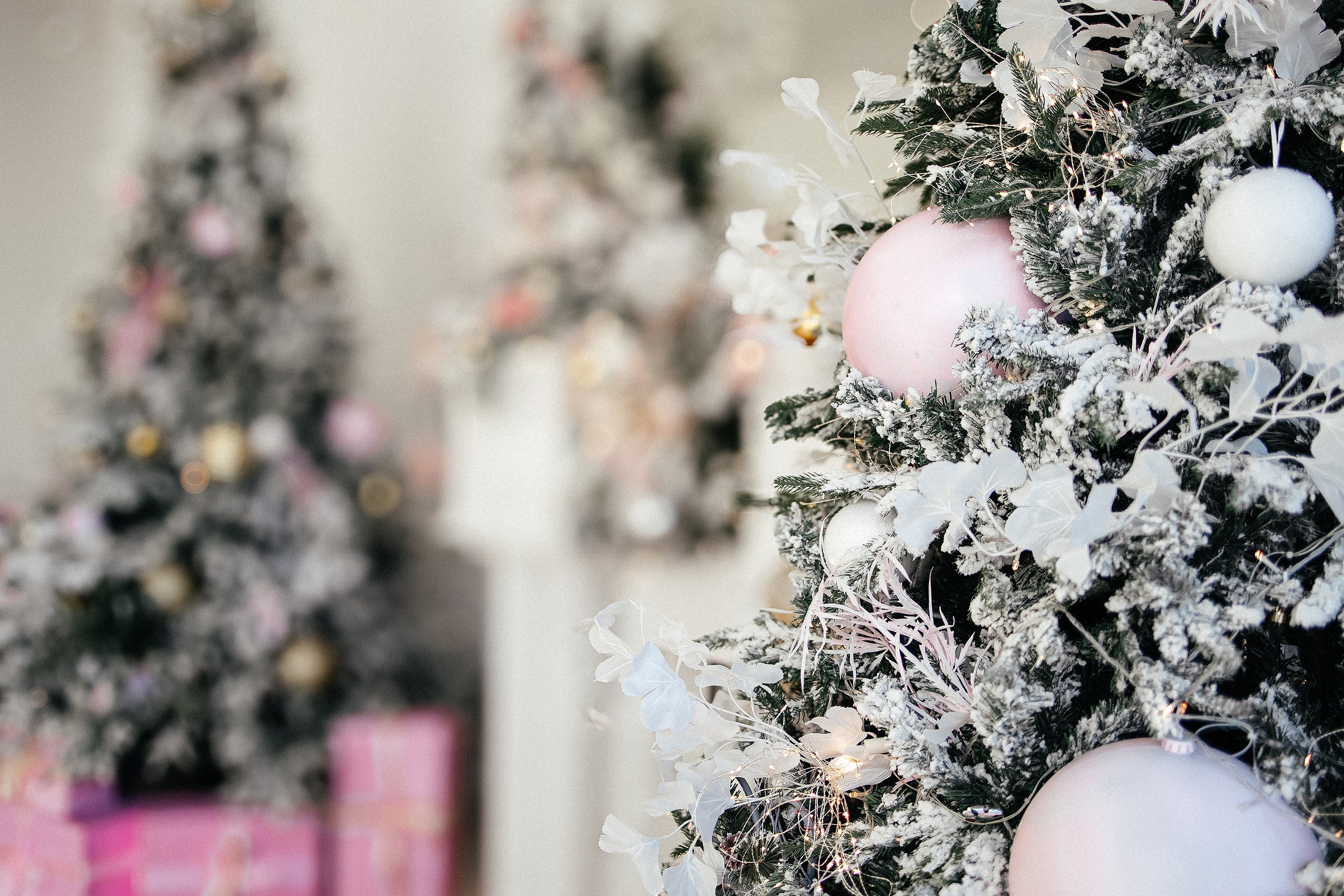 Ю. Фотограф г. Хабаровск. Семейные и индивидуальные съёмки