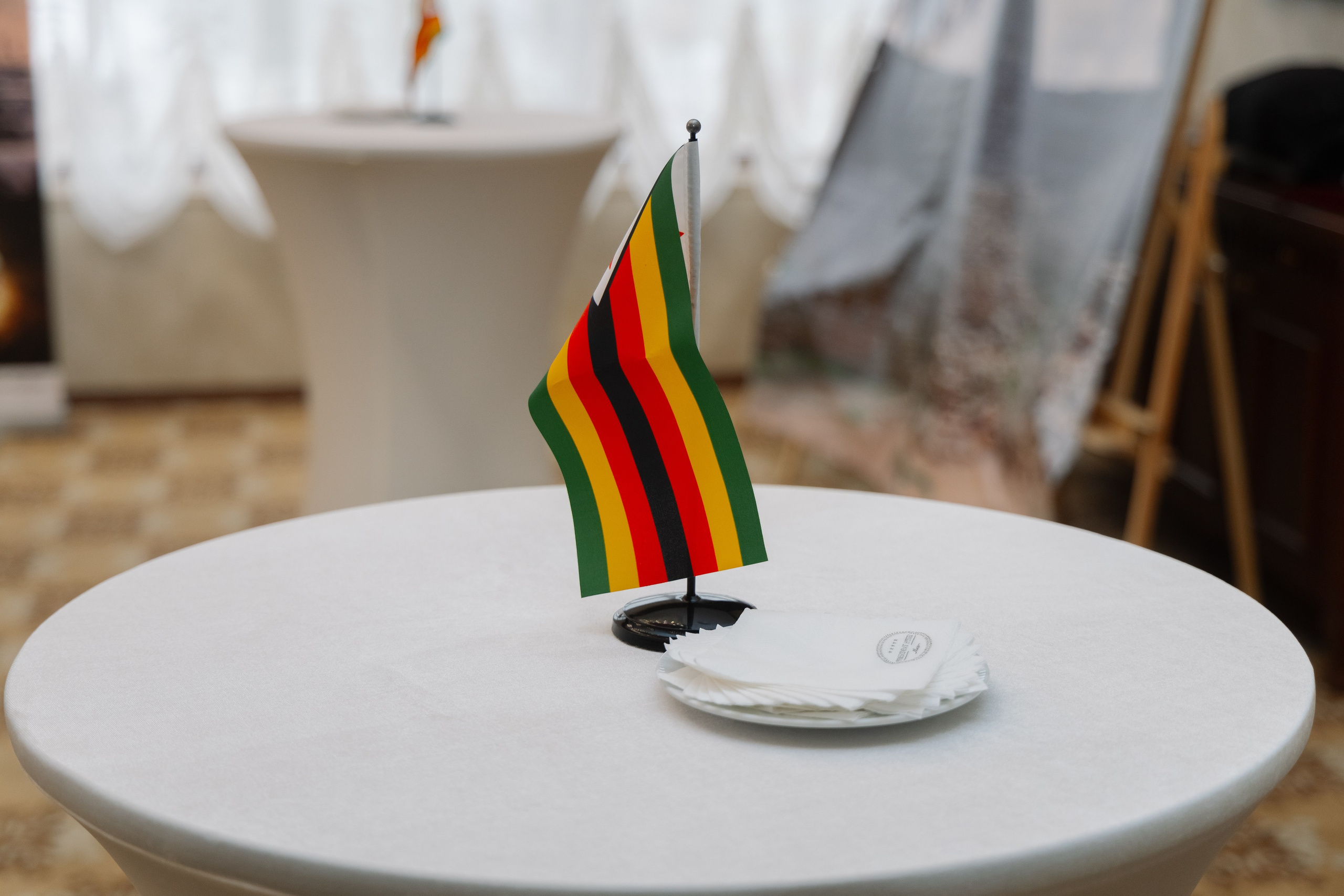 Фотосъемка делегации Посольства Зимбабве в Минске. Свадебный фотограф в Минске/Беларуси Сергей Спиридонов