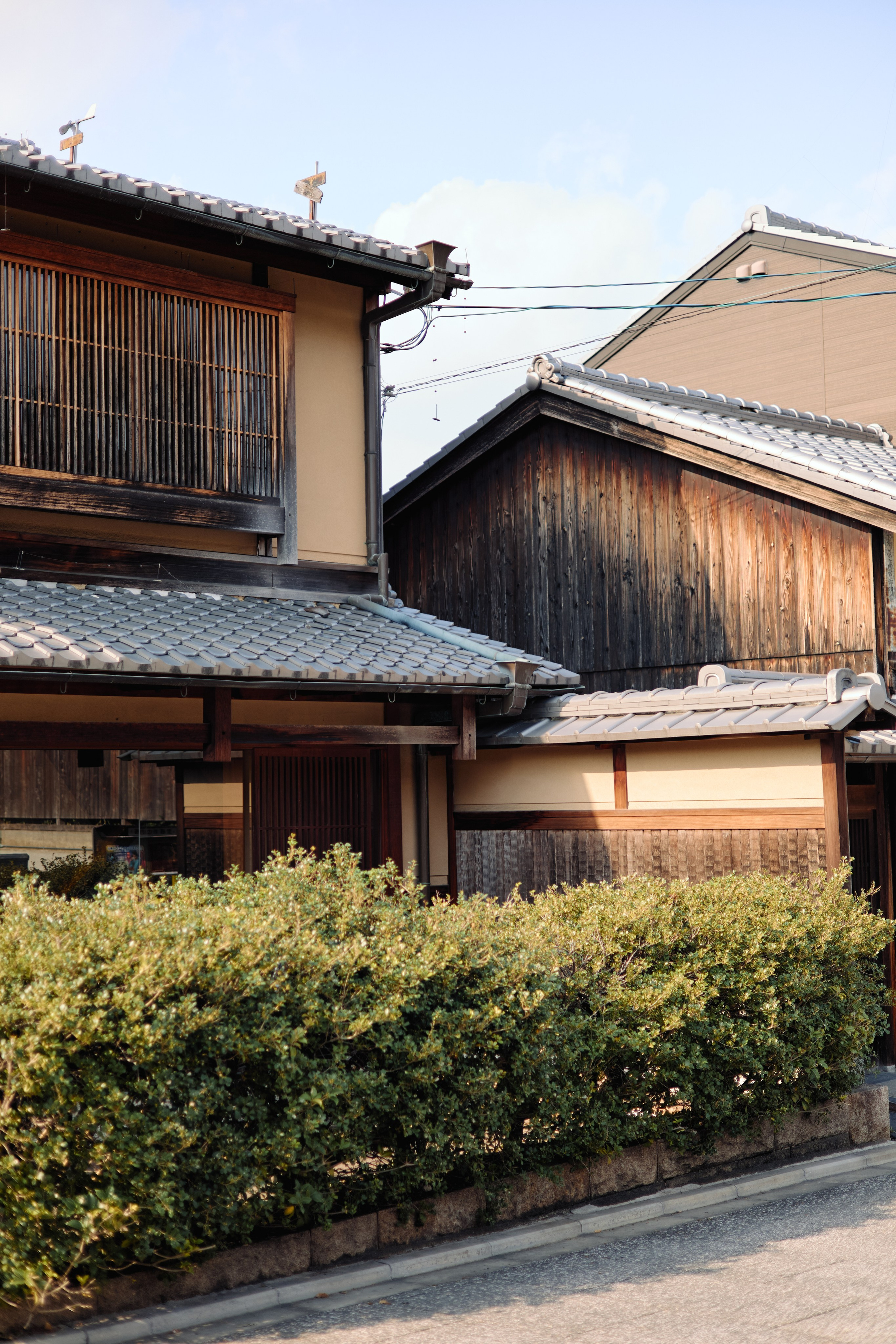 Япония. Профессиональный Фотограф во Владимире, в Москве и в Суздале — Полина Романычева