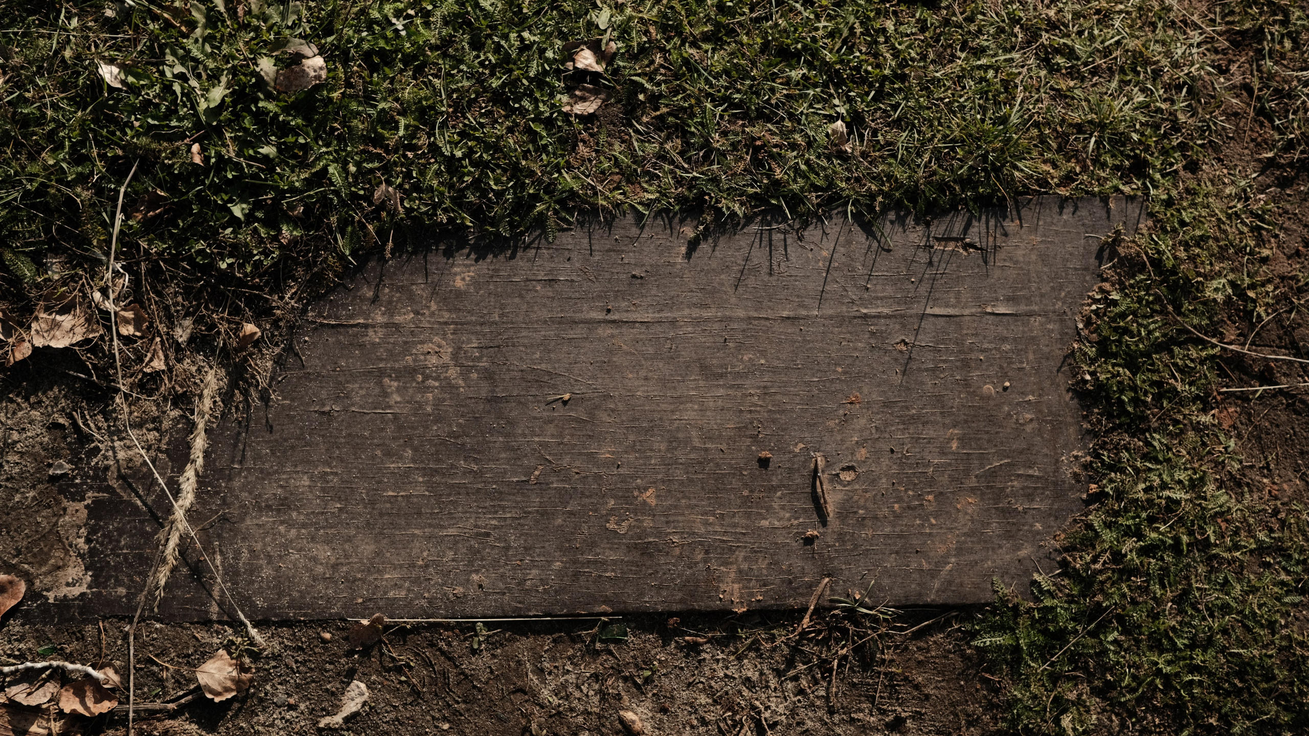 Нижний Новгород. LIYALEE PHOTO