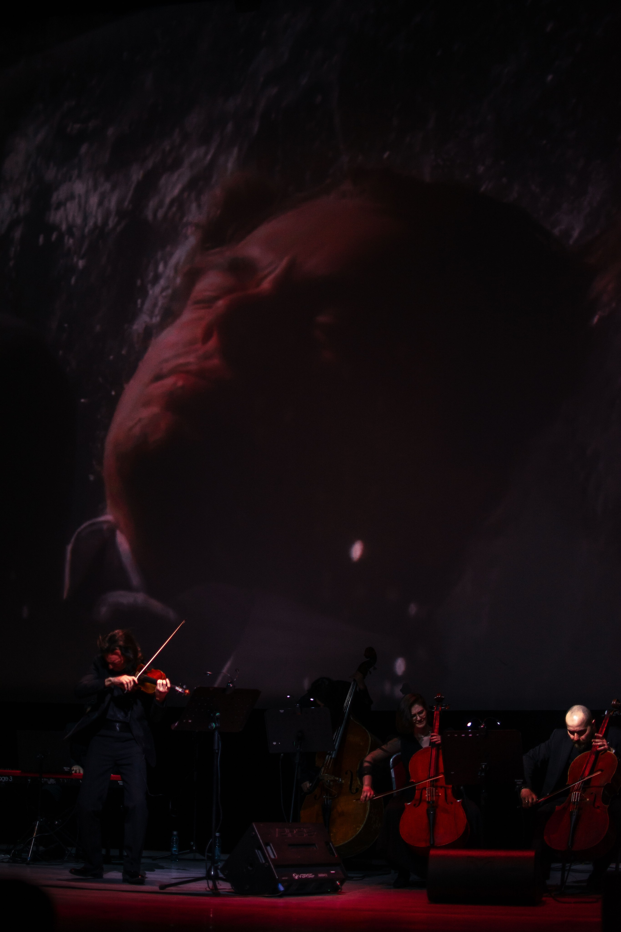 Концерт оркестра Cinematica. Репортажный фотограф в Новосибирске