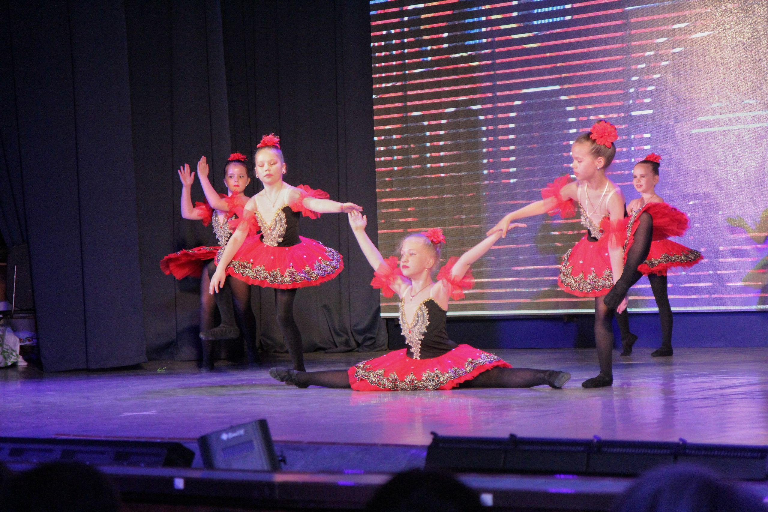 Мероприятия. Диана Николаева — фотограф город Балашиха