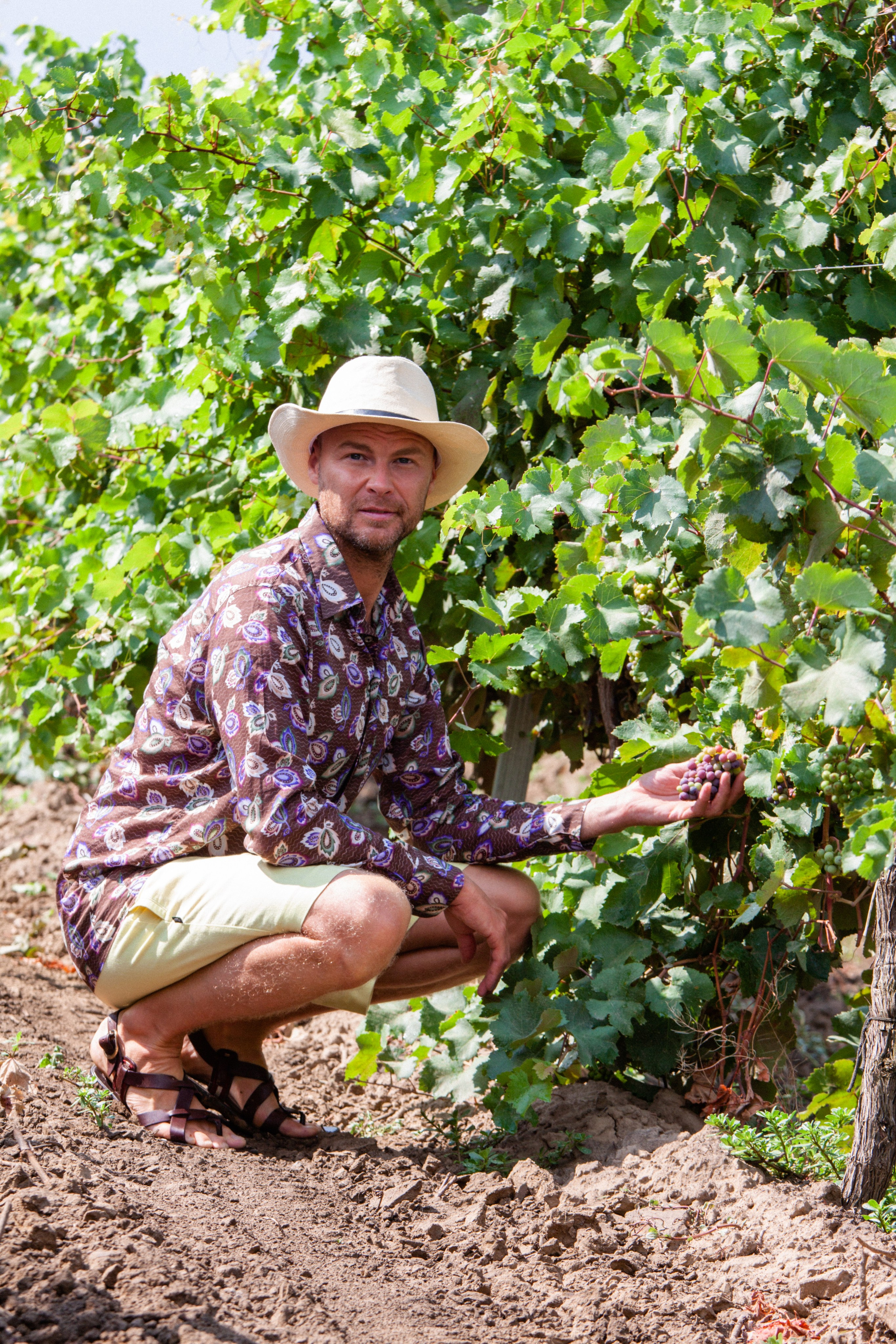 Kuban vineyards. Дария Галямова — фотограф: открытый, творческий, коммерческий