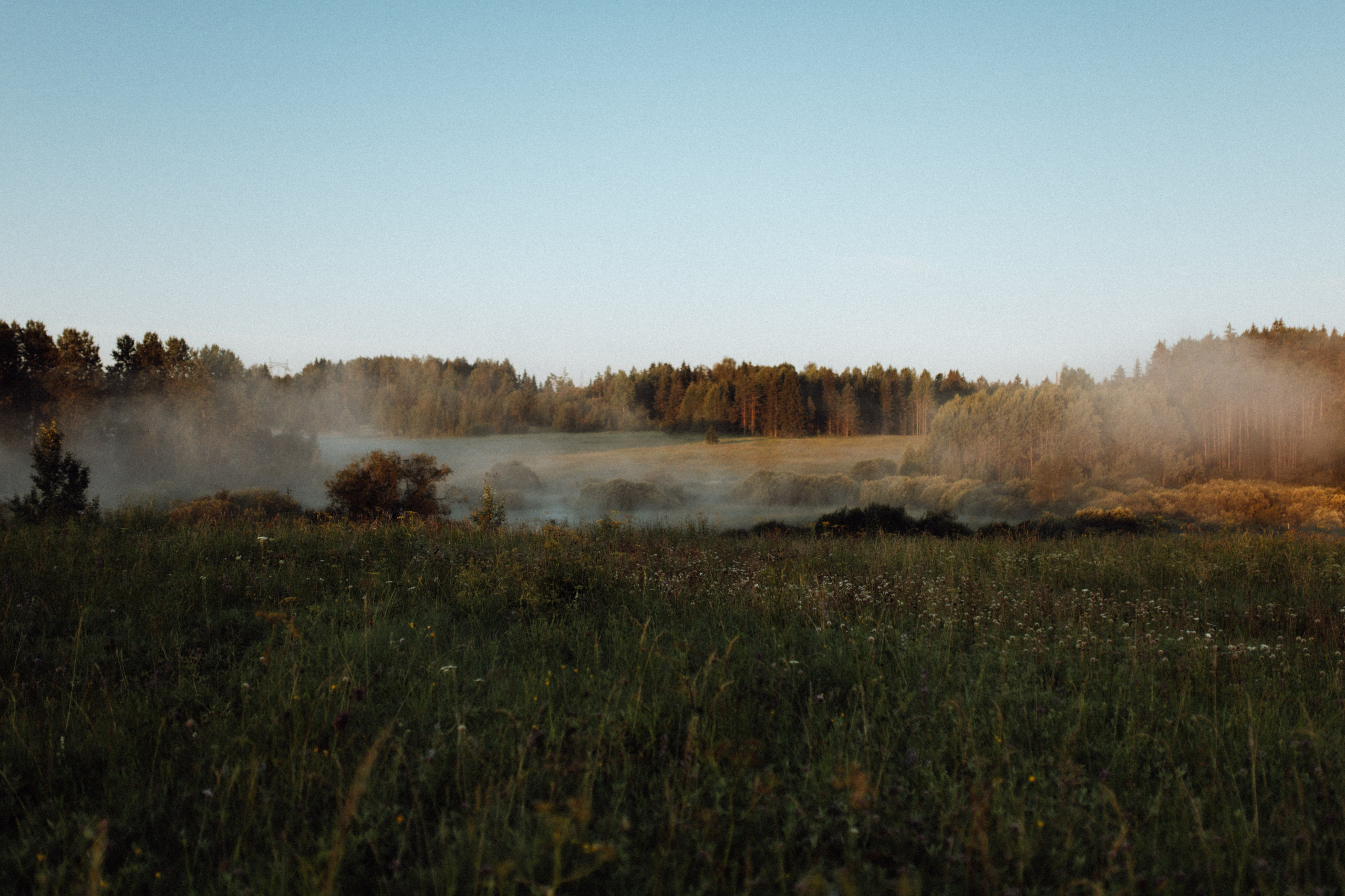 Rita. Съёмка влюблённых в Санкт-Петербурге Ксения Чердакова, парный фотограф
