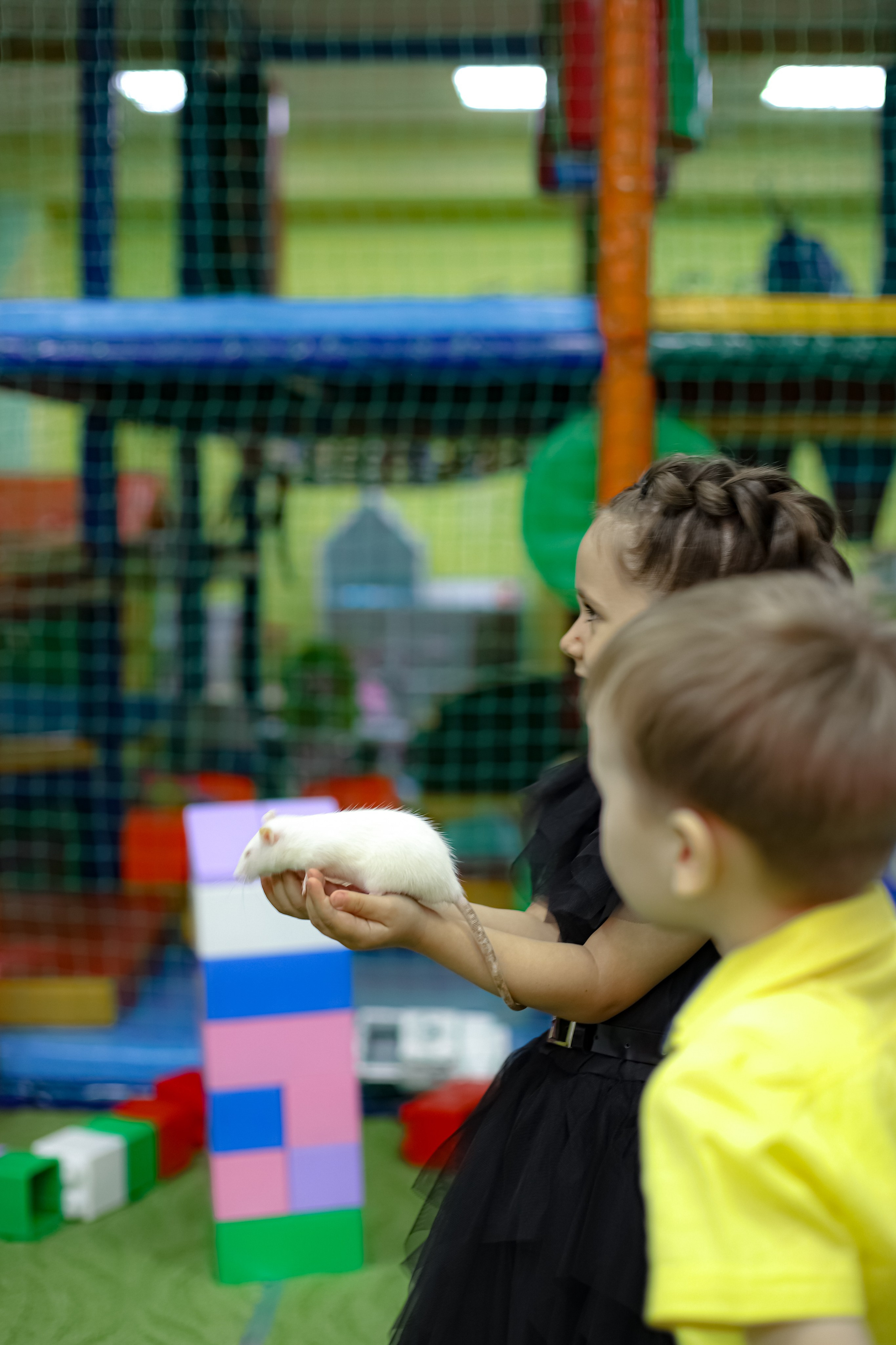 POLINA 5 YEARS. Photokarish