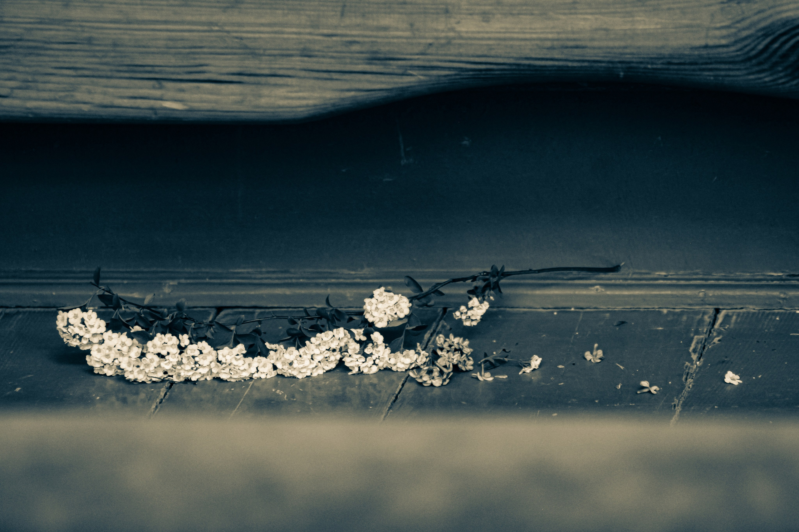 Никита и Ангелина. Илья Чемис — Фотограф в Мариуполе