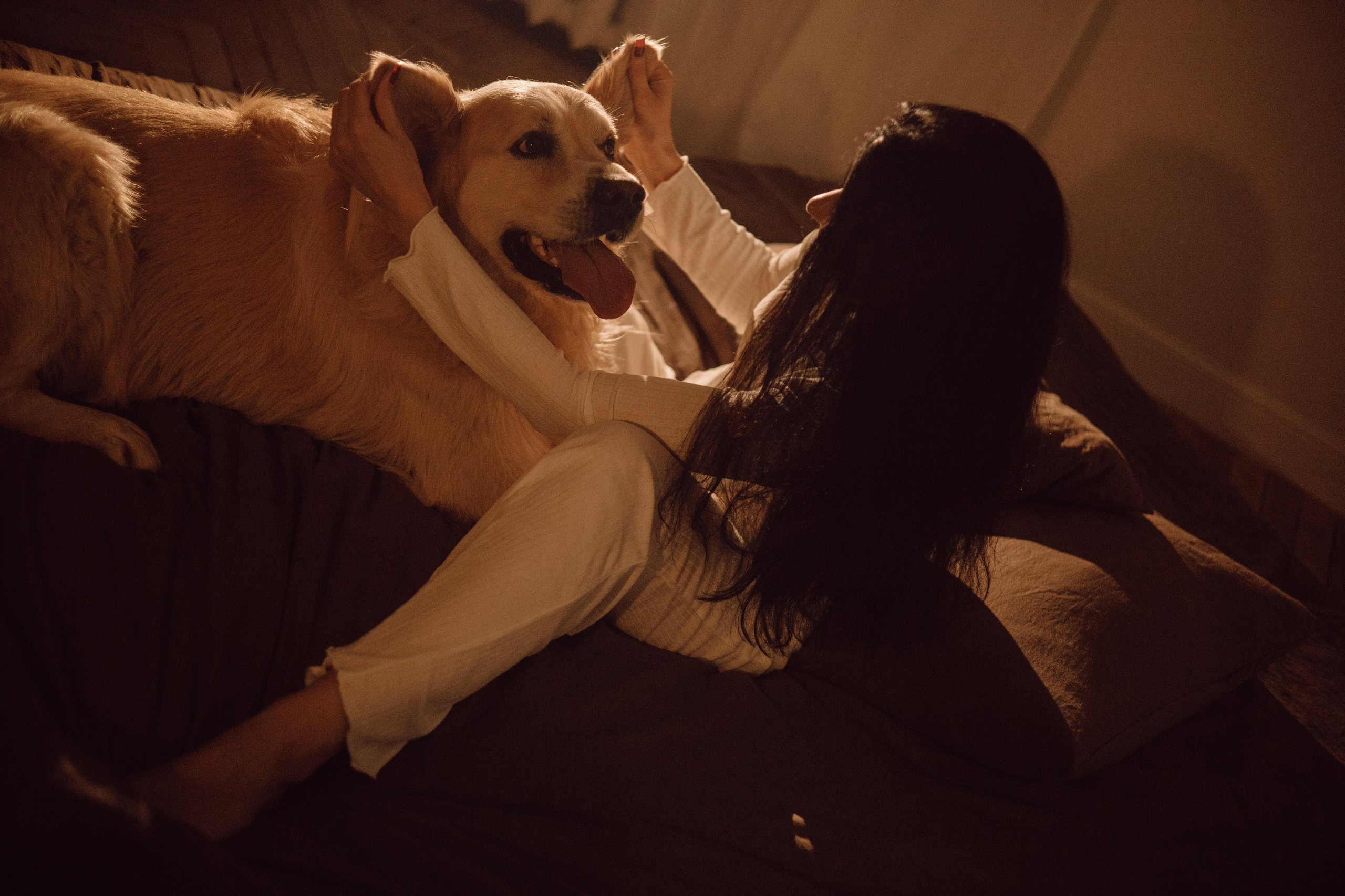 Лёва и его семья. Фотограф — анималист •love-story•|Санкт-Петербург